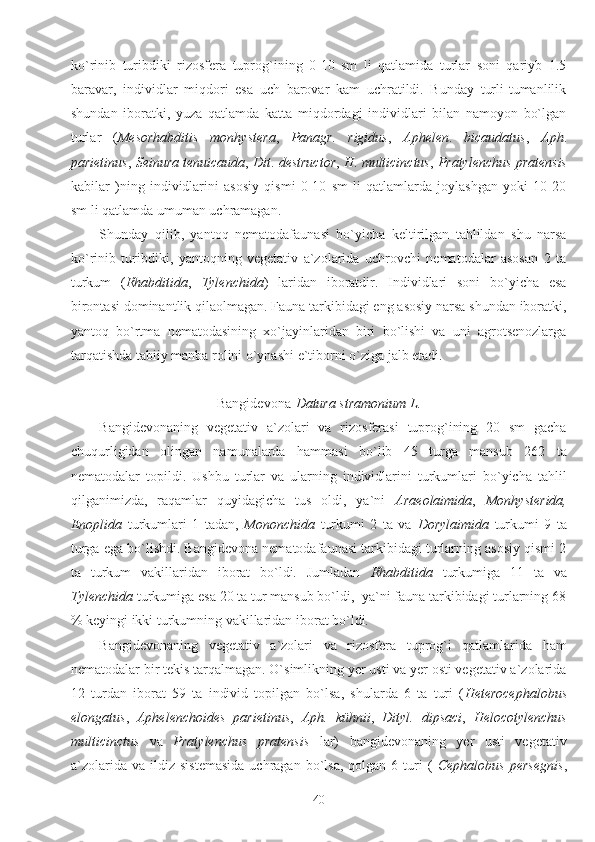 ko`rinib   turibdiki   rizosfera   tuprog`ining   0-10   sm   li   qatlamida   turlar   soni   qariyb   1.5
baravar,   individlar   miqdori   esa   uch   barovar   kam   uchratildi.   Bunday   turli-tumanlilik
shundan   iboratki,   yuza   qatlamda   katta   miqdordagi   individlari   bilan   namoyon   bo`lgan
turlar   ( Mesorhabditis   monhystera ,   Panagr.   rigidus ,   Aphelen .   bicaudatus ,   Aph .
parietinus ,  Seinura   tenuicauda ,  Dit .  destructor ,  H .  multicinctus ,  Pratylenchus   pratensis
kabilar   )ning   individlarini   asosiy   qismi   0-10   sm   li   qatlamlarda   joylashgan   yoki   10-20
sm li qatlamda umuman uchramagan.
Shunday   qilib,   yantoq   nematodafaunasi   bo`yicha   keltirilgan   tahlildan   shu   narsa
ko`rinib   turibdiki,   yantoqning   vegetativ   a`zolarida   uchrovchi   nematodalar   asosan   2   ta
turkum   ( Rhabditida ,   Tylenchida )   laridan   iboratdir.   Individlari   soni   bo`yicha   esa
birontasi dominantlik qilaolmagan. Fauna tarkibidagi eng asosiy narsa shundan iboratki,
yantoq   bo`rtma   nematodasining   xo`jayinlaridan   biri   bo`lishi   va   uni   agrotsenozlarga
tarqatishda tabiiy manba rolini o`ynashi e`tiborni o`ziga jalb etadi. 
Bangidevona- Datura stramonium L.
Bangidevonaning   vegetativ   a`zolari   va   rizosferasi   tuprog`ining   20   sm   gacha
chuqurligidan   olingan   namunalarda   hammasi   bo`lib   45   turga   mansub   262   ta
nematodalar   topildi.   Ushbu   turlar   va   ularning   individlarini   turkumlari   bo`yicha   tahlil
qilganimizda,   raqamlar   quyidagicha   tus   oldi,   ya`ni   Araeolaimida ,   Monhysterida,
Enoplida   turkumlari   1   tadan,   Mononchida   turkumi   2   ta   va   Dorylaimida   turkumi   9   ta
turga ega bo`lishdi. Bangidevona nematodafaunasi tarkibidagi turlarning asosiy qismi 2
ta   turkum   vakillaridan   iborat   bo`ldi.   Jumladan   Rhabditida   turkumiga   11   ta   va
Tylenchida  turkumiga esa 20 ta tur mansub bo`ldi,  ya`ni fauna tarkibidagi turlarning 68
% keyingi ikki turkumning vakillaridan iborat bo`ldi.
Bangidevonaning   vegetativ   a`zolari   va   rizosfera   tuprog`i   qatlamlarida   ham
nematodalar bir tekis tarqalmagan. O`simlikning yer usti va yer osti vegetativ a`zolarida
12   turdan   iborat   59   ta   individ   topilgan   bo`lsa,   shularda   6   ta   turi   ( Heterocephalobus
elongatus ,   Aphelenchoides   parietinus ,   Aph.   kühnii ,   Dityl.   dipsaci ,   Helocotylenchus
multicinctus   va   Pratylenchus   pratensis   lar)   bangidevonaning   yer   usti   vegetativ
a`zolarida  va   ildiz   sistemasida  uchragan  bo`lsa,  qolgan   6  turi   (   Cephalobus   persegnis ,
40 