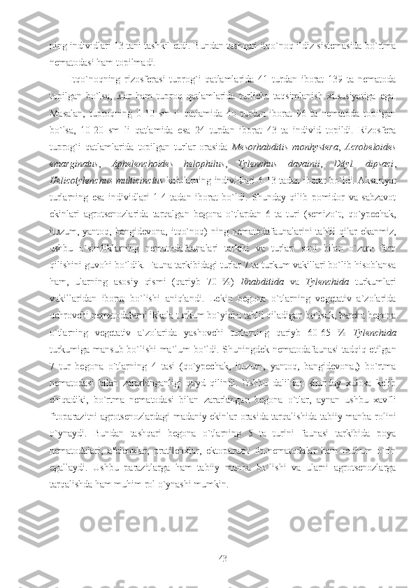 ning individlari 13 tani tashkil etdi. Bundan tashqari itqo`noq ildiz sistemasida bo`rtma
nematodasi ham topilmadi.
Itqo`noqning   rizosferasi   tuprog`i   qatlamlarida   41   turdan   iborat   139   ta   nematoda
topilgan   bo`lsa,   ular   ham   tuproq   qatlamlarida   turlicha   taqsimlanish   xususiyatiga   ega.
Masalan,   tuproqning   0-10   sm   li   qatlamida   40   turdan   iborat   96   ta   nematoda   topilgan
bo`lsa,   10-20   sm   li   qatlamida   esa   24   turdan   iborat   43   ta   individ   topildi.   Rizosfera
tuprog`i   qatlamlarida   topilgan   turlar   orasida   Mesorhabditis   monhystera ,   Acrobeloides
emarginatus ,   Aphelenchoides   helophilus ,   Tylenchus   davainii ,   Dityl.   dipsaci ,
Helicotylenchus multicinctus   kabilarning individlari 6-13 tadan iborat bo`ldi. Aksariyat
turlarning   esa   individlari   1-4   tadan   iborat   bo`ldi.   Shunday   qilib   pomidor   va   sabzavot
ekinlari   agrotsenozlarida   tarqalgan   begona   o`tlardan   6   ta   turi   (semizo`t,   qo`ypechak,
ituzum, yantoq,  bangidevona,  itqo`noq)  ning  nematodafaunalarini   tahlil  qilar  ekanmiz,
ushbu   o`simliklarning   nematodafaunalari   tarkibi   va   turlari   soni   bilan   o`zaro   farq
qilishini guvohi bo`ldik. Fauna tarkibidagi turlar 7 ta turkum vakillari bo`lib hisoblansa
ham,   ularning   asosiy   qismi   (qariyb   70   %)   Rhabditida   va   Tylenchida   turkumlari
vakillaridan   iborat   bo`lishi   aniqlandi.   Lekin   begona   o`tlarning   vegetativ   a`zolarida
uchrovchi nematodalarni ikkala turkum bo`yicha tahlil qiladigan bo`lsak, barcha begona
o`tlarning   vegetativ   a`zolarida   yashovchi   turlarning   qariyb   60-65   %   Tylenchida
turkumiga mansub bo`lishi ma`lum bo`ldi. Shuningdek nematodafaunasi  tadqiq etilgan
7   tur   begona   o`tlarning   4   tasi   (qo`ypechak,   ituzum,   yantoq,   bangidevona,)   bo`rtma
nematodasi   bilan   zararlanganligi   qayd   qilindi.   Ushbu   dalildan   shunday   xulosa   kelib
chiqadiki,   bo`rtma   nematodasi   bilan   zararlangan   begona   o`tlar,   aynan   ushbu   xavfli
fitoparazitni agrotsenozlardagi madaniy ekinlar orasida tarqalishida tabiiy manba rolini
o`ynaydi.   Bundan   tashqari   begona   o`tlarning   5   ta   turini   faunasi   tarkibida   poya
nematodalari,   afelenxlar,   pratilenxlar,   ektoparazit   fitonematodalar   ham   muhum   o`rin
egallaydi.   Ushbu   parazitlarga   ham   tabiiy   manba   bo`lishi   va   ularni   agrotsenozlarga
tarqalishda ham muhim rol o`ynashi mumkin. 
43 