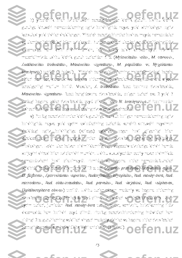 b)   yirtqichlik   bilan   oziqlanuvchi   pararizobiontlar   kichik   guruhi.   Ushbu   kichik
guruhga   kiruvchi   nematodalarning   og`iz   bo`shlig`ida   nayza   yoki   xitinlashgan   og`iz
kapsulasi yoki tishlar shakllangan. Yirtqich pararizobiontlar boshqa mayda nematodalar
va ularning lichinkalari bilan oziqlanadi. Bundan tashqari ular ba`zan o`simlikning ildiz
sistemasiga   ham   kirib   olishi   mumkin,   lekin   salbiy   ta`sir   ko`rsatmaydi.   Bizning
materialimizda   ushbu   kichik   guruh   turlaridan   6   ta   ( Mylonchulus   solus ,   M .   cavensis ,
Anathonchus   tridentatus ,   Manonchus   sigmaturus ,   M .   papillatus   va   Nygolaimus
brachyuris )   topildi   (5   jadval).     Yirtqich   pararizobiontlarning   materialimizdagi   barcha
turlari   pomidor,   pamidor   va   begona   o`tlarning   rizosferalari   tuprog`ida   ancha   siyrak
tarqalganligi   ma`lum   bo`ldi.   Masalan,   A .   tridentatus   faqat   itqo`noq   rizosferasida,
Manonchus   sigmaturus   faqat   bangidevona   rizosferasida,   qolgan   turlari   esa   2   yoki   3
turdagi   begona   o`tlar   rizosferasida   qayd   qilindi,   lekin   N .   brachyuris   turi   itqo`noqdan
tashqari boshqa barcha begona o`tlarning rizosferasida uchratildi.
v) fitofag pararizobiontlar kichik guruhiga mansub bo`lgan nematodalarning og`iz
bo`shlig`ida   nayza   yoki   ayrim   avlodlarining   turlarida   sanchib-so`ruvchi   naysimon
shakldagi   og`iz   bo`shlig`iga   (stiletga)   aylangan   organ   hosil   qilganligi   bilan
xarakterlanadi.   Fitofag   pararizobiontlar   asosan   rizosfera   tuprog`ida   yashashga
moslashgan.  Lekin  ular   ba`zan  o`simliklarning turli   vegetativ  a`zolariga  kirishi  hamda
xo`jayini shirasi bilan oziqlanishi mumkin. Ushbu xususiyatidan qat`iy nazar o`simlikda
nematodozlarni   hosil   qilaolmaydi.   Pomidor   va   begona   o`tlar   nematodafaunalari
tarkibida fitofag pararizobiontlarning 12 ta turi ( Alaimus   primitivus ,   Dorylaimus   agilis ,
D .  filiformis ,  Aporcelaimus   superbus ,  Eudorylaimus   bryophilus ,  Eud .  monhystera ,  Eud .
microdorus ,   Eud .   obtusicaudatus ,   Eud .   parvulus ,   Eud .   skrjabini ,   Eud .   sulphasae ,
Diphtherophora   obesus )   topildi.   Ushbu   turlar   asosan   madaniy   va   begona   o`tlarning
rizosferalari tuprog`i qatlamlarida qayd qilindi. Individlari soni ham ancha kam. Lekin
ayrim   turlari,   jumladan   Eud .   monhystera   turi   pomidor,   semizo`t,   bo`ztikanning   ildiz
sistemasida   ham   bo`lishi   qayd   qilindi.   Fitofag   pararizobiontlarning   individlari   ham
oldingi 2 ta guruhlarning vakillari singari madaniy ekinlar va begona o`tlar rizosferalari
tuprog`ida ancha kam individli bo`lishi aniqlandi. (5 jadval). 
45 