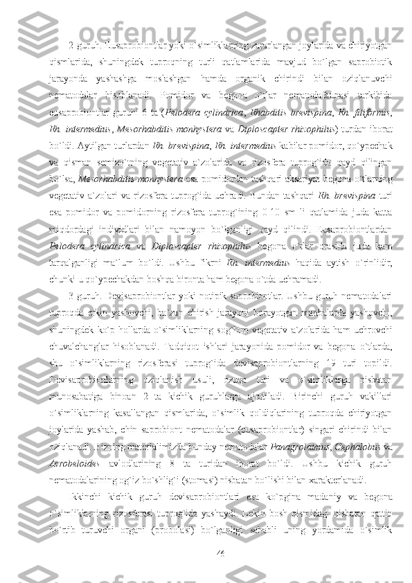 2-guruh. Eusaprobiontlar yoki o`simliklarning zararlangan joylarida va chiriyotgan
qismlarida,   shuningdek   tuproqning   turli   qatlamlarida   mavjud   bo`lgan   saprobiotik
jarayonda   yashashga   moslashgan   hamda   organik   chirindi   bilan   oziqlanuvchi
nematodalar   hisoblanadi.   Pomidor   va   begona   o`tlar   nematodafaunasi   tarkibida
eusaprobiontlar   guruhi   6   ta   ( Pelodera   cylindrica ,   Rhabditis   brevispina ,   Rh.   filiformis ,
Rh. intermedius ,   Mesorhabditis monhystera   va   Diploscapter rhizophilus ) turdan iborat
bo`ldi. Aytilgan turlardan  Rh. brevispina ,  Rh. intermedius  kabilar pomidor, qo`ypechak
va   qisman   semizo`tning   vegetativ   a`zolarida   va   rizosfera   tuprog`ida   qayd   qilingan
bo`lsa,   Mesorhabditis monhystera   esa pomidordan tashqari aksariyat begona o`tlarning
vegetativ   a`zolari   va  rizosfera  tuprog`ida   uchradi.  Bundan   tashqari   Rh.   brevispina   turi
esa   pomidor   va   pomidorning   rizosfera   tuprog`ining   0-10   sm   li   qatlamida   juda   katta
miqdordagi   individlari   bilan   namoyon   bo`lganligi   qayd   qilindi.   Eusaprobiontlardan
Pelodera   cylindrica   va   Diploscapter   rhizophilus   begona   o`tlar   orasida   juda   kam
tarqalganligi   ma`lum   bo`ldi.   Ushbu   fikrni   Rh.   intermedius   haqida   aytish   o`rinlidir,
chunki u qo`ypechakdan boshqa bironta ham begona o`tda uchramadi. 
3-guruh. Devisaprobiontlar  yoki  notipik saprobiontlar. Ushbu  guruh nematodalari
tuproqda   erkin   yashovchi,   ba`zan   chirish   jarayoni   borayotgan   manbalarda   yashovchi,
shuningdek   ko`p   hollarda  o`simliklarning  sog`lom   vegetativ   a`zolarida  ham   uchrovchi
chuvalchanglar   hisoblanadi.   Tadqiqot   ishlari   jarayonida   pomidor   va   begona   o`tlarda,
shu   o`simliklarning   rizosferasi   tuprog`ida   devisaprobiontlarning   19   turi   topildi.
Devisaprobionlarning   oziqlanish   usuli,   ozuqa   turi   va   o`simliklarga   nisbatan
munosabatiga   binoan   2   ta   kichik   guruhlarga   ajratiladi.   Birinchi   guruh   vakillari
o`simliklarning   kasallangan   qismlarida,   o`simlik   qoldiqlarining   tuproqda   chiriyotgan
joylarida   yashab,   chin   saprobiont   nematodalar   (eusaprobiontlar)   singari   chirindi   bilan
oziqlanadi. Bizning materialimizda bunday nematodalar  Panagrolaimus ,  Cephalobus  va
Acrobeloides   avlodlarining   8   ta   turidan   iborat   bo`ldi.   Ushbu   kichik   guruh
nematodalarining og`iz bo`shlig`i (stomasi) nisbatan bo`lishi bilan xarakterlanadi.
Ikkinchi   kichik   guruh   devisaprobiontlari   esa   ko`pgina   madaniy   va   begona
o`simliklarning   rizosferasi   tuprog`ida   yashaydi.   Lekin   bosh   qismidagi   nisbatan   qattiq
bo`rtib   turuvchi   organi   (probolasi)   bo`lganligi   sababli   uning   yordamida   o`simlik
46 