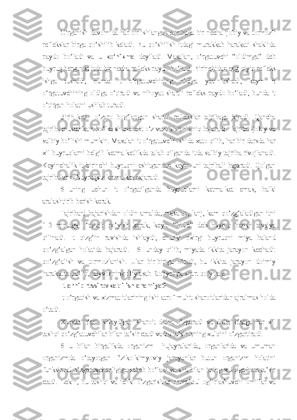 O‘rganish davomida har bir ishlangan tajribada bir necha ijobiy va tormozli
reflekslar   birga   qo‘shilib   keladi.   Bu   qo‘shilish   itdagi   murakkab   harakati   shaklida
paydo   bo‘ladi   va   u   ko‘nikma   deyiladi.   Masalan,   o‘rgatuvchi   “oldimga”   deb
buyruq berganda itda bir necha refleks paydo bo‘ladi. Birinchidan eng qiyin refleks
ishga   tushadi,   bunda   it   o‘rgatuvchining   oldiga   yaqinlashadi,   keyin   it
o‘rgatuvchining   oldiga   o‘tiradi   va   nihoyat   shartli   refleks   paydo   bo‘ladi,   bunda   it
o‘tirgan holatni ushlab turadi.
Birin-ketin   o‘zaro   bog‘langan   shartli   reflekslar   tajribaga   kiradi.   Qancha
tajriba mustahkam bo‘lsa shuncha it o‘z vazifalarini aniq bajaradi. Tajriba ijobiy va
salbiy bo‘lishi mumkin. Masalan it o‘rgatuvchi ishida xato qilib, har bir darsda har
xil buyruqlarni belgili ketma-ketlikda talab qilganda itda salbiy tajriba rivojlanadi.
Keyinchalik   it   birinchi   buyruqni   eshitgandan   keyin   uni   tajribali   bajaradi.   Qolgan
tajribalarini buyruqsiz ketma-ket bajaradi.
SHuning   uchun   it   o‘rgatilganda   buyruqlarni   ketma-ket   emas,   balki
aralashtirib berish kerak.
Tajribani   bajarishdan   oldin   amalda,   masalan,   lanj,   kam   qo‘zg‘aladigan   itni
1-2   minutga   o‘tqizib   qo‘yish   kerak,   keyin   “hidla”   deb   buyruq   berish   tavsiya
qilinadi.   It   qizg‘in   ravishda   ishlaydi,   chunki   oxirgi   buyruqni   miya   baland
qo‘zg‘algan   holatida   bajaradi.     SHunday   qilib,   miyada   ikkita   jarayon   kechadi:
qo‘zg‘alish   va   tormozlanish.   Ular   bir-biriga   o‘tadi,   bu   ikkita   jarayon   doimiy
harakatda bo‘lib, hayvonning oliy asab faoliyatiga shart qo‘yiladi.
Itlarni dressirovka qilish ahamiyati
It o‘rgatish va xizmat itlarining ishi atrof-muhit sharoitlaridan ajralmas holda
o‘tadi.
Xizmat   itlari   ishlaydigan   sharoit   doim   o‘zgaradi   va   doim   itlarga   har   xil
tashqi qo‘zg‘atuvchilar bilan ta’sir etadi va bu ta’sir itning xulqini o‘zgartiradi.
SHu   bilan   birgalikda   organizm     hujayralarida,   organlarida   va   umuman
organizmda   o‘tayotgan   fiziko-kimyoviy   jarayonlar   butun   organizm   holatini
funksional o‘zgaruvchanligiga sabab bo‘ladi va shu bilan itning xulqiga ham ta’sir
etadi.   Lekin,   bu   tashqi   va   ichki   o‘zgarishlar   noma’qul   og‘irlashuvchi   omillar   va 