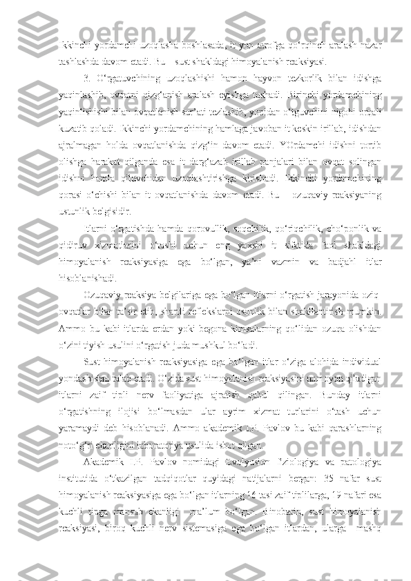 Ikkinchi   yordamchi   uzoqlasha   boshlasada,   it   yon   atrofga   qo‘rqinch   aralash   nazar
tashlashda davom etadi. Bu – sust shakldagi himoyalanish reaksiyasi.
3.   O‘rgatuvchining   uzoqlashishi   hamon   hayvon   tezkorlik   bilan   idishga
yaqinlashib,   ovqatni   qizg‘anish   aralash   eyishga   tushadi.   Birinchi   yordamchining
yaqinlishishi bilan ovqatlanish sur’ati tezlashib, yonidan o‘tguvchini nigohi orqali
kuzatib qoladi. Ikkinchi yordamchining hamlaga javoban it keskin irillab, idishdan
ajralmagan   holda   ovqatlanishda   qizg‘in   davom   etadi.   YOrdamchi   idishni   tortib
olishga   harakat   qilganda   esa   it   darg‘azab   irillab   panjalari   bilan   ovqat   solingan
idishni   hamla   qiluvchidan   uzoqlashtirishga   kirishadi.   Ikkinchi   yordamchining
qorasi   o‘chishi   bilan   it   ovqatlanishda   davom   etadi.   Bu   –   ozuqaviy   reaksiyaning
ustunlik belgisidir.
Itlarni   o‘rgatishda   hamda   qorovullik,   soqchilik,   qo‘riqchilik,   cho‘ponlik   va
qidiruv   xizmatlarini   o‘tashi   uchun   eng   yaxshi   it   sifatida   faol   shakldagi
himoyalanish   reaksiyasiga   ega   bo‘lgan,   ya’ni   vazmin   va   badjahl   itlar
hisoblanishadi.
Ozuqaviy reaksiya belgilariga ega bo‘lgan itlarni o‘rgatish jarayonida oziq-
ovqatlar   bilan   ta’sir   etib,   shartli   reflekslarni   osonlik   bilan   shakllantirish   mumkin.
Ammo   bu   kabi   itlarda   erdan   yoki   begona   kimsalarning   qo‘lidan   ozuqa   olishdan
o‘zini tiyish usulini o‘rgatish juda mushkul bo‘ladi.
Sust   himoyalanish   reaksiyasiga   ega   bo‘lgan   itlar   o‘ziga   alohida   individual
yondashishni talab etadi. O‘zida sust himoyalanish reaksiyasini namoyon qiladigan
itlarni   zaif   tipli   nerv   faoliyatiga   ajratish   qabul   qilingan.   Bunday   itlarni
o‘rgatishning   ilojisi   bo‘lmasdan   ular   ayrim   xizmat   turlarini   o‘tash   uchun
yaramaydi   deb   hisoblanadi.   Ammo   akademik   I.P.   Pavlov   bu   kabi   qarashlarning
noto‘g‘ri ekanligini laboratoriya usulida isbot qilgan.
Akademik   I.P.   Pavlov   nomidagi   Evolyusion   fiziologiya   va   patologiya
institutida   o‘tkazilgan   tadqiqotlar   quyidagi   natijalarni   bergan:   35   nafar   sust
himoyalanish reaksiyasiga ega bo‘lgan itlarning 16 tasi zaif tiplilarga, 19 nafari esa
kuchli   tipga   mansub   ekanligi     ma’lum   bo‘lgan.   Binobarin,   sust   himoyalanish
reaksiyasi,   biroq   kuchli   nerv   sistemasiga   ega   bo‘lgan   itlardan,   ularga     mashq 