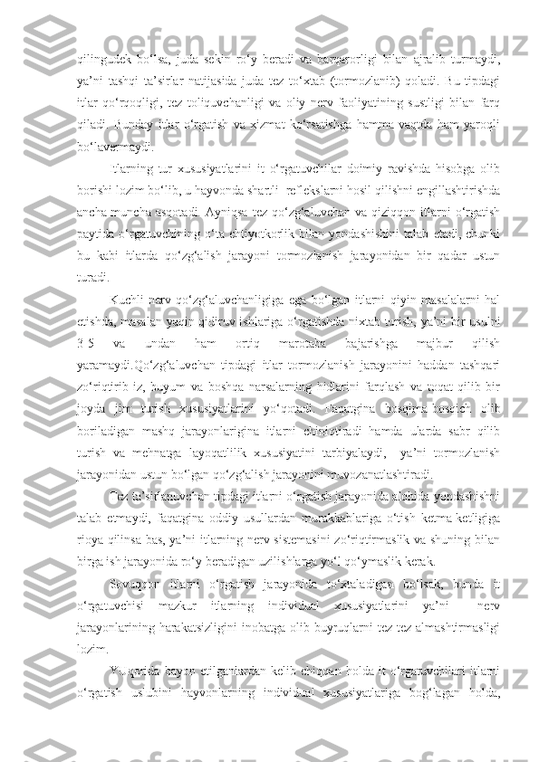 qilingudek   bo‘lsa,   juda   sekin   ro‘y   beradi   va   barqarorligi   bilan   ajralib   turmaydi,
ya’ni   tashqi   ta’sirlar   natijasida   juda   tez   to‘xtab   (tormozlanib)   qoladi.   Bu   tipdagi
itlar   qo‘rqoqligi,   tez   toliquvchanligi   va   oliy   nerv   faoliyatining   sustligi   bilan   farq
qiladi.   Bunday   itlar   o‘rgatish   va   xizmat   ko‘rsatishga   hamma   vaqtda   ham   yaroqli
bo‘lavermaydi.
Itlarning   tur   xususiyatlarini   it   o‘rgatuvchilar   doimiy   ravishda   hisobga   olib
borishi lozim bo‘lib, u hayvonda shartli  reflekslarni hosil qilishni engillashtirishda
ancha-muncha   asqotadi.   Ayniqsa   tez   qo‘zg‘aluvchan   va   qiziqqon  itlarni   o‘rgatish
paytida   o‘rgatuvchining   o‘ta   ehtiyotkorlik   bilan   yondashishini   talab   etadi,   chunki
bu   kabi   itlarda   qo‘zg‘alish   jarayoni   tormozlanish   jarayonidan   bir   qadar   ustun
turadi.
Kuchli   nerv   qo‘zg‘aluvchanligiga   ega   bo‘lgan   itlarni   qiyin   masalalarni   hal
etishda, masalan yaqin qidiruv ishlariga o‘rgatishda nixtab turish, ya’ni bir usulni
3-5   va   undan   ham   ortiq   marotaba   bajarishga   majbur   qilish
yaramaydi.Qo‘zg‘aluvchan   tipdagi   itlar   tormozlanish   jarayonini   haddan   tashqari
zo‘riqtirib   iz,   buyum   va   boshqa   narsalarning   hidlarini   farqlash   va   toqat   qilib   bir
joyda   jim   turish   xususiyatlarini   yo‘qotadi.   Faqatgina   bosqima-bosqich   olib
boriladigan   mashq   jarayonlarigina   itlarni   chiniqtiradi   hamda   ularda   sabr   qilib
turish   va   mehnatga   layoqatlilik   xususiyatini   tarbiyalaydi,     ya’ni   tormozlanish
jarayonidan ustun bo‘lgan qo‘zg‘alish jarayonini muvozanatlashtiradi.
Tez ta’sirlanuvchan tipdagi itlarni o‘rgatish jarayonida alohida yondashishni
talab   etmaydi,   faqatgina   oddiy   usullardan   murakkablariga   o‘tish   ketma-ketligiga
rioya qilinsa bas, ya’ni itlarning nerv sistemasini  zo‘riqtirmaslik va shuning bilan
birga ish jarayonida ro‘y beradigan uzilishlarga yo‘l qo‘ymaslik kerak.
Sovuqqon   itlarni   o‘rgatish   jarayonida   to‘xtaladigan   bo‘lsak,   bunda   it
o‘rgatuvchisi   mazkur   itlarning   individual   xususiyatlarini   ya’ni     nerv
jarayonlarining  harakatsizligini  inobatga  olib buyruqlarni  tez-tez  almashtirmasligi
lozim.
YUqorida   bayon   etilganlardan   kelib   chiqqan   holda   it   o‘rgatuvchilari   itlarni
o‘rgatish   uslubini   hayvonlarning   individual   xususiyatlariga   bog‘lagan   holda, 