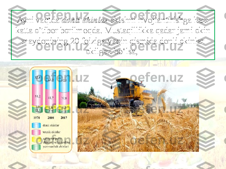 Ayni vaqtda  donli ekinlar  ekishni rivojlantirishga ham 
katta e’tibor berilmoqda. Mustaqillikka qadar jami ekin 
maydonining 20 foiziga yaqin qismida donli ekinlar 
ekilgan bo‘lsa,  