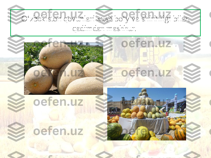 O‘zbekiston qovunlari xush bo‘y va shirinligi bilan 
qadimdan mashhur.  