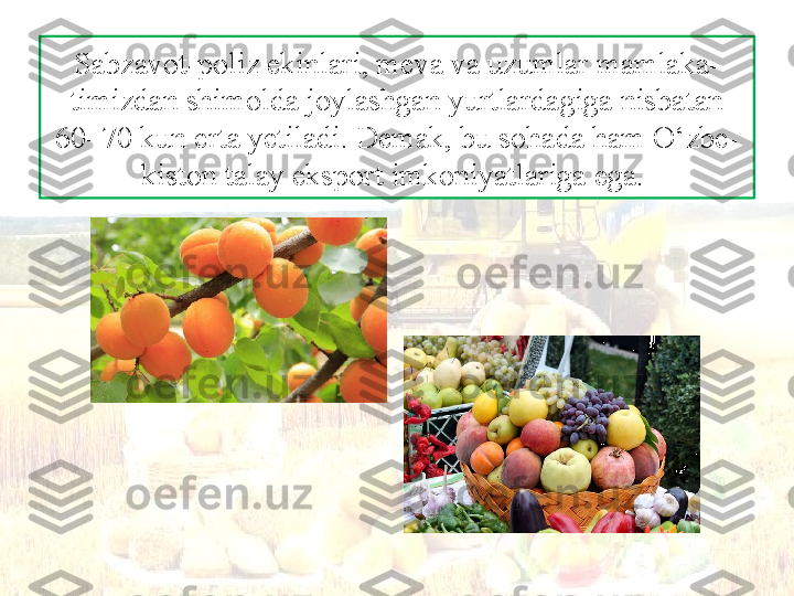 Sabzavot-poliz ekinlari, meva va uzumlar mamlaka-
timizdan shimolda joylashgan yurtlardagiga nisbatan 
60–70 kun erta yetiladi. Demak, bu sohada ham O‘zbe-
kiston talay eksport imkoniyatlariga ega.  