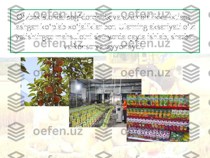 O‘zbekistonda bog‘dorchilik va uzumchilikka ixtisos-
lashgan ko‘plab xo‘jaliklar bor. Ularning aksariyati o‘zi 
yetishtirgan mahsulotni shu yerda qayta ishlab, sharbat 
va konserva tayyorlaydi.  