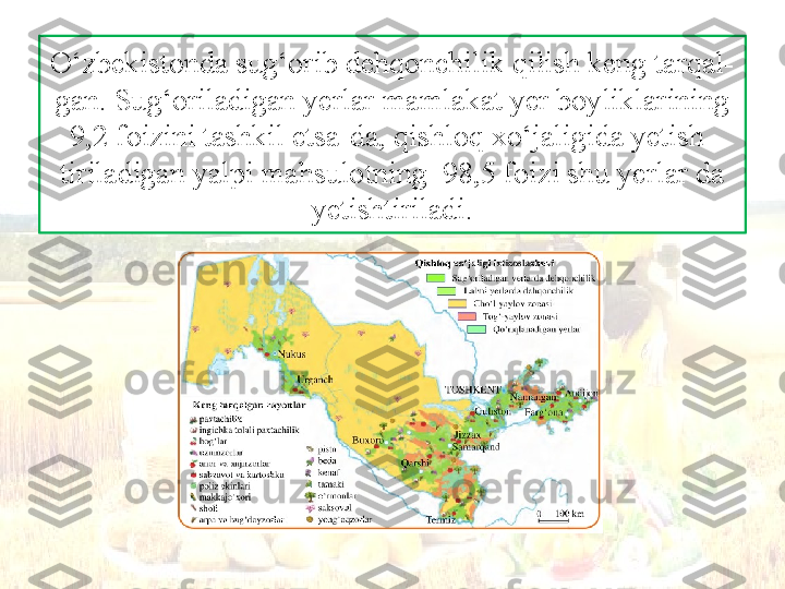 O‘zbekistonda sug‘orib dehqonchilik qilish keng tarqal-
gan. Sug‘oriladigan yerlar mamlakat yer boyliklarining 
9,2 foizini tashkil etsa-da, qishloq xo‘jaligida yetish-
tiriladigan yalpi mahsulotning  98,5 foizi shu yerlar da 
yetishtiriladi. 