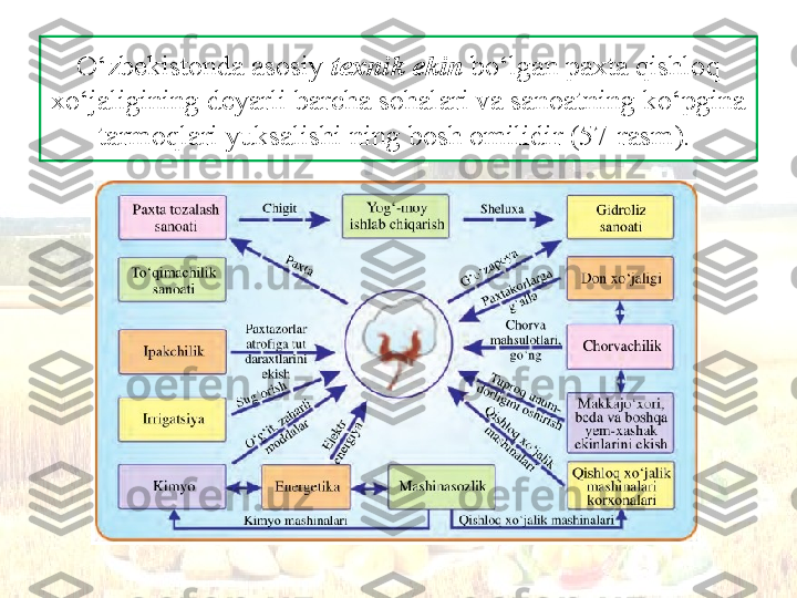 O‘zbekistonda asosiy  texnik ekin  bo‘lgan paxta qishloq 
xo‘jaligining  deyarli barcha sohalari va sanoatning  ko‘pgina 
tarmoqlari yuksalishi ning bosh omilidir (57-rasm).  