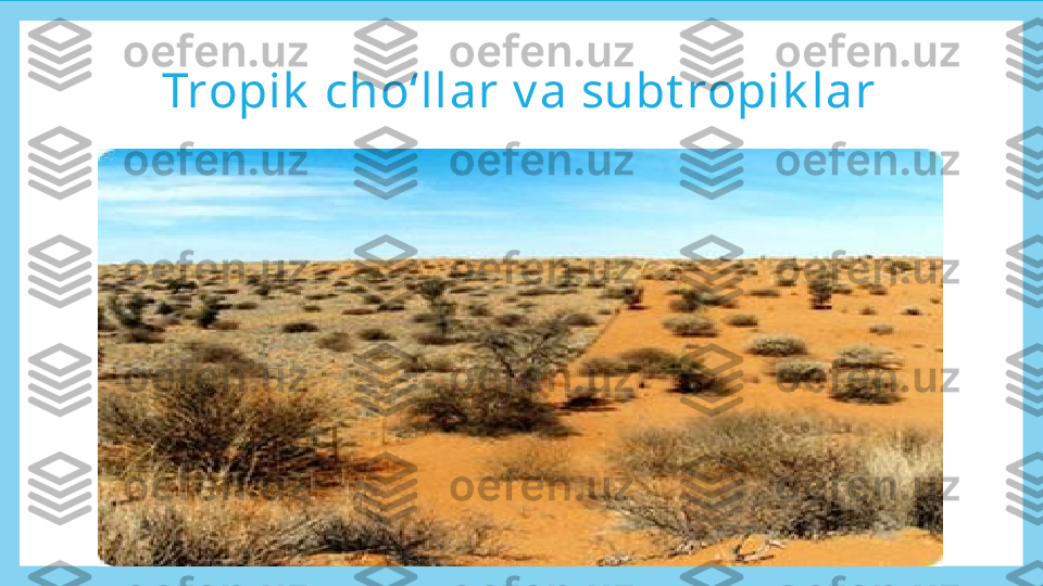 Tropik  cho‘llar v a subt ropik lar 