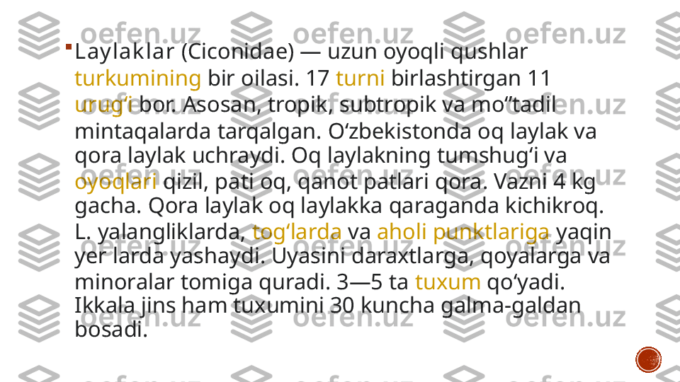 
Lay lak lar  (Ciconidae) — uzun oyoqli  qushlar  
turkumining  bir  oilasi . 17  turni  birlashtirgan 11 
urugʻi  bor. Asosan, tropik, subtropik va moʻʼtadil 
mintaqalarda tarqalgan.  Oʻzbekistonda  oq laylak va 
qora laylak uchraydi. Oq laylakning tumshugʻi va 
oyoqlari  qizil, pati oq, qanot patlari qora. Vazni 4 kg 
gacha. Qora laylak oq laylakka qaraganda kichikroq. 
L. yalangliklarda,  togʻlarda  va  aholi punktlariga  yaqin 
yer larda yashaydi. Uyasini daraxtlarga, qoyalarga va 
minoralar tomiga quradi. 3—5 ta  tuxum  qoʻyadi. 
Ikkala jins ham tuxumini 30 kuncha galma-galdan 
bosadi. 