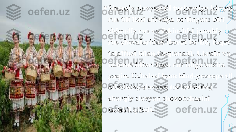 • Sharqiy slavyan til turkumiga kirgan 
rus tili ikki shevaga bo’lingan: biri 
shimoliy rus va ikkinchisi janubiy 
rus shevalaridan iborat bo’lib, faqat 
talaffuzi bilan farqlanadi. Ukrain va 
belorus tillari ham rus tiliga ancha 
yaqin. Uchalasi ham hind-yevropa til 
oilasining slavyan turkumining 
sharqiy slavyan shoxobchasini 
tashkil qiladi.  