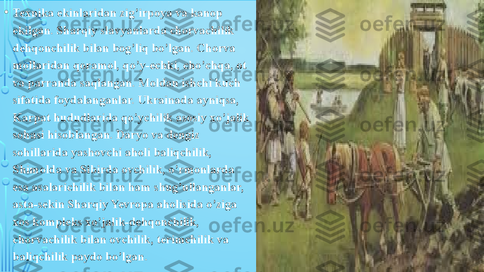 • Texnika ekinlaridan zig’irpoya va kanop 
ekilgan. Sharqiy slavyanlarda chorvachilik 
dehqonchilik bilan bog’liq bo’lgan. Chorva 
mollaridan qoramol, qo’y-echki, cho’chqa, ot 
va parranda saqlangan. Moldan ishchi kuch 
sifatida foydalanganlar. Ukrainada ayniqsa, 
Karpat hududlarida qo’ychilik asosiy xo’jalik 
sohasi hisoblangan. Daryo va dengiz 
sohillarida yashovchi aholi baliqchilik, 
Shimolda va Sibirda ovchilik, o’rmonlarda 
esa asalarichilik bilan ham shug’ullanganlar, 
asta-sekin Sharqiy Yevropa aholisida o’ziga 
xos kompleks xo’jalik-dehqonchilik, 
chorvachilik bilan ovchilik, terimchilik va 
baliqchilik paydo bo’lgan.  