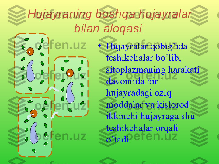 Hujayraning boshqa hujayralar 
bilan aloqasi .
•
Hujayralar qobig’ida 
teshikchalar bo’lib, 
sitoplazmaning harakati 
davomida bir 
hujayradagi oziq 
moddalar va kislorod 
ikkinchi hujayraga shu 
teshikchalar orqali 
o’tadi.    