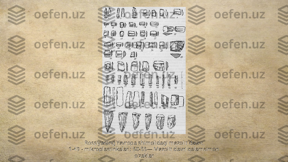 Rossiyaning Yevropa shimolidagi mezolit davri:
1-49 - mikroplastinkalar ; 50-55— Mezolit davri qalamsimon 
oʻzaklar 