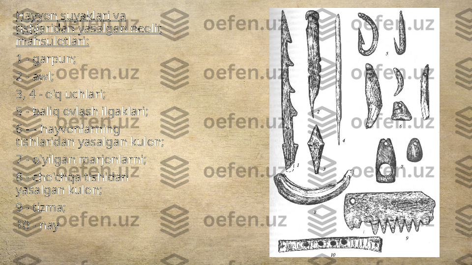 Hayvon suyaklari va 
tishlaridan yasalgan neolit 
mahsulotlari:
1 - garpun;
2 - awl;
3, 4 - o'q uchlari;
5 - baliq ovlash ilgaklari;
6 — hayvonlarning 
tishlaridan yasalgan kulon;
7 - o'yilgan marjonlarni;
8 - cho'chqa tishidan 
yasalgan kulon;
9 - tizma;
10 - nay 