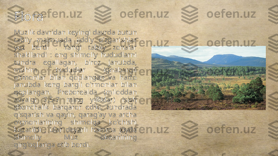 Flora
Muzlik davridan keyingi davrda butun 
tabiiy  majmuada  jiddiy  o'zgarishlar 
yuz  berdi  .  Yangi  tabiiy  zonalar 
shakllandi  :  eng  shimoliy  hududlarni 
tundra  egallagan,  biroz  janubda, 
muhim  hududlar  ignabargli 
o'rmonlar  bilan  qoplangan  va  hatto 
janubda  keng  bargli  o'rmonlar  bilan 
qoplangan.  Preborealda  (miloddan 
avvalgi  7,5-7  ming  yilliklar)  isish 
shunchalik  barqaror  ediki,  tundrada 
qisqarish  va  qayin,  qarag'ay  va  archa 
o'rmonlarining  shimolga  ko'chishi 
kuzatildi  ,  ular  deyarli  hamma  joyda 
Shimoliy  Muz  okeanining 
qirg'oqlariga etib bordi. 