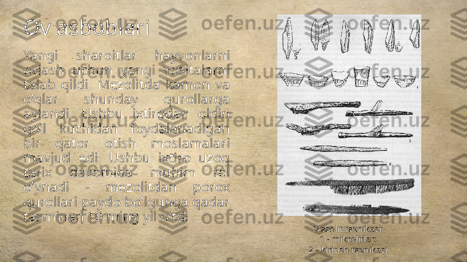 Ov asboblari
Yangi  sharoitlar  hayvonlarni 
ovlash  uchun  yangi  vositalarni 
talab  qildi.  Mezolitda  kamon  va 
o'qlar  shunday  qurollarga 
aylandi.  Ushbu  ixtirodan  oldin 
qo'l  kuchidan  foydalanadigan 
bir  qator  otish  moslamalari 
mavjud  edi.  Ushbu  ixtiro  uzoq 
tarix  davomida  muhim  rol 
o'ynadi  -  mezolitdan  porox 
qurollari paydo bo'lgunga qadar 
taxminan 10 ming yil o'tdi .
Mezolit texnikasi: 
1 - mikrolitlar; 
2 - kiritish texnikasi. 