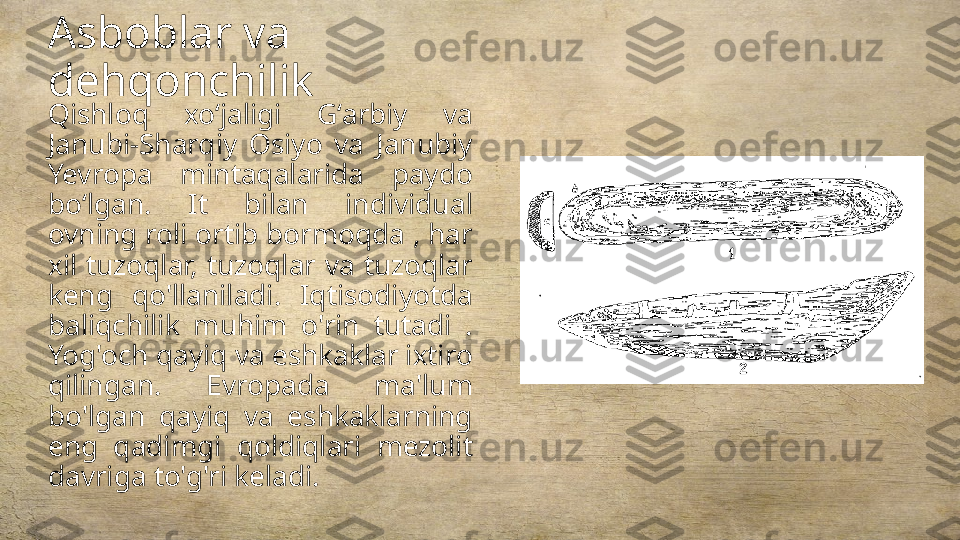 Asboblar va 
dehqonchilik
Qishloq  xoʻjaligi  Gʻarbiy  va 
Janubi-Sharqiy  Osiyo  va  Janubiy 
Yevropa  mintaqalarida  paydo 
boʻlgan.  It  bilan  individual 
ovning roli ortib bormoqda , har 
xil  tuzoqlar,  tuzoqlar  va  tuzoqlar 
keng  qo'llaniladi.  Iqtisodiyotda 
baliqchilik  muhim  o'rin  tutadi  . 
Yog'och qayiq va eshkaklar ixtiro 
qilingan.  Evropada  ma'lum 
bo'lgan  qayiq  va  eshkaklarning 
eng  qadimgi  qoldiqlari  mezolit 
davriga to'g'ri keladi. 