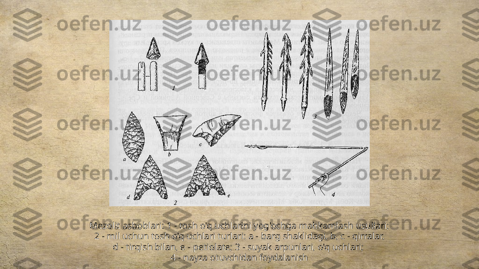 Mezolit asboblari: 1 - tosh o'q uchlarini yog'ochga mahkamlash usullari;
2 - mil uchun tosh o'q uchlari turlari: a - barg shaklidagi, b, c - qirralar,
d - tirqish bilan, e - petiolate; 3 - suyak arpunlari, o'q uchlari; 
4 - nayza otuvchidan foydalanish 