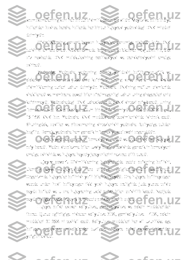 xromosomalarning soni har bir tur o‘simlik uchun bir xildir. Meyoz va poliploidiya
hollaridan boshqa barcha hollarda har bir tur hujayrasi yadrosidagi DNK miqdori
doimiydir.
O‘simliklarning   genomi   hayvon   hujayralari   genomiga   nisbatan   ko‘p   DNK
tutishi bilan farqlanadi. Nukleolazmada fermentlar, kofaktorlar mavjud bo‘lib, ular
o‘z   navbatida   DNK   molekulasining   replikasiyasi   va   transkripsiyasini   amalga
oshiradi.
Yadrocha.   Yadrocha   yadroning   doimiy   yo‘ldoshi   bo‘lib,   yorug‘lik   va
elektron   mikrosqoplarda   juda   aniq   ko‘rinadi.   Uning   soni,   o‘lchamii   va   shakli
o‘simliklarning   turlari   uchun   doimiydir.   Yadrocha   DNKning   ma’lum   qismlarida
shakllanadi va membrana qavati bilan o‘ralmaganligi uchun uning chegaralari aniq
ko‘rinmaydi. Yadrochadagi DNK uchastkalarida rRNK sintezi  ro‘y beradi. Uning
formasi   va   soni   o‘simlikning   ma’lum   bir   turida   doimiydir.   Tarkibida   80%   oqsil,
15-16%   RNK   bor.   Yadrocha   RNK   moddasining   taqsimlanishida   ishtirok   etadi.
Shuningdek,   oqsillar   va   ribosomaning   sintezlanishi   yadrocha   faoliyatiga   tubdan
bog‘liq. Demak, yadrocha ham genetik informasiya saqlovchi organoiddir. 
Umuman yadroda genetik informasiya saqlanadi va unda DNK replikasiyasi
ro‘y beradi. Yadro sitoplazma bilan uzviy bog‘liq ravishda  genetik informasiyani
amalga oshishida va hujayra hayotiy jarayonlarini nazorat qilib turadi.
Hujayra   devori.   O‘ simliklarning   hujayralarida   qattiq   po‘stning   bo‘lishi,
ularning   hayvon   hujayrasidan   farq   qiladigan   belgilaridan   biri   hisoblanadi.
Organizmda hujayralar bo‘linish yo‘li bilan ko‘payadi. Ona hujayra bo‘linayotgan
vaqtda   undan   hosil   bo‘layotgan   ikki   yosh   hujayra   oralig‘ida   juda   yupqa   to‘siq
paydo   bo‘ladi   va   u   ona   hujayraning   ustki   po‘sti   bilan   qo‘shilib   ketadi.   Natijada
paydo bo‘lgan ikkala hujayra ham qattiq po‘stga o‘ralib qoladi.
Hujayra   po‘sti   asosan   sellyuloza,   gemisellyuloza   va   pektin   moddalaridan
iborat.   Quruq   og‘irligiga   nisbatan   sellyuloza-30%,   gemisellyuloza   -   40%,   pektin
moddalari   20-25%   ni   tashkil   etadi.   Sellyuloza   moddalari   har   xil   uzunlikka   ega
bo‘lgan   zanjirsimon   misellalardan   tuzilgan.   Hujayra   po‘sti   asosan   ichkaridan
yo‘g‘onlashadi. 