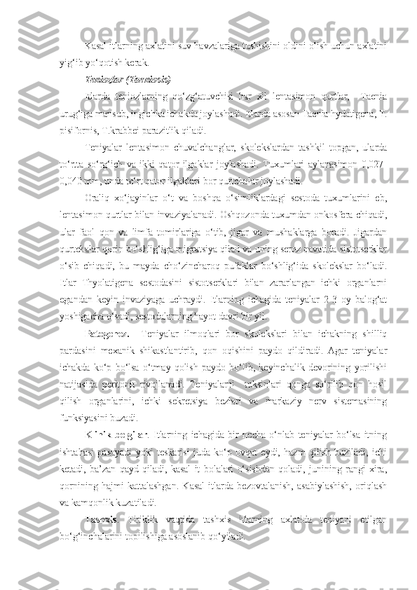 Kasal itlarning axlatini suv havzalariga tushishini oldini olish uchun axlatini
yig‘ib yo‘qotish kerak.
Teniozlar (Taeniosis)
Itlarda   teniozlarning   qo‘zg‘atuvchisi   har   xil   lentasimon   qurtlar,     Taenia
urug‘iga mansub, ingichka ichakda joylashadi. Itlarda asosan Taenia hydatigena, T.
pisifornis, T.krabbei parazitlik qiladi.
Teniyalar   lentasimon   chuvalchanglar,   skolekslardan   tashkil   topgan,   ularda
to‘rtta   so‘rg‘ich   va   ikki   qator   ilgaklar   joylashadi.   Tuxumlari   aylanasimon   0,027-
0,040 mm, unda to‘rt qator ilgaklari bor qurtchalar joylashadi. 
Oraliq   xo‘jayinlar   o‘t   va   boshqa   o‘simliklardagi   sestoda   tuxumlarini   eb,
lentasimon qurtlar bilan invaziyalanadi. Oshqozonda tuxumdan onkosfera chiqadi,
ular   faol   qon   va   limfa   tomirlariga   o‘tib,   jigar   va   mushaklarga   boradi.   Jigardan
qurtchalar qorin bo‘shlig‘iga migratsiya qilad va uning seroz qavatida sistotserklar
o‘sib   chiqadi,   bu   mayda   cho‘zincharoq   pufaklar   bo‘shlig‘ida   skolekslar   bo‘ladi.
Itlar   Thyolatigena   sestodasini   sistotserklari   bilan   zararlangan   ichki   organlarni
egandan   keyin   invaziyaga   uchraydi.   Itlarning   ichagida   teniyalar   2-3   oy   balog‘at
yoshigacha o‘sadi, sestodalarning hayot davri bir yil.
Patogenez.     Teniyalar   ilmoqlari   bor   skolekslari   bilan   ichakning   shilliq
pardasini   mexanik   shikastlantirib,   qon   oqishini   paydo   qildiradi.   Agar   teniyalar
ichakda   ko‘p   bo‘lsa   o‘tmay   qolish   paydo   bo‘lib,   keyinchalik   devorining   yorilishi
natijasida   peritonit   rivojlanadi.   Teniyalarni     toksinlari   qonga   so‘rilib   qon   hosil
qilish   organlarini,   ichki   sekretsiya   bezlari   va   markaziy   nerv   sistemasining
funksiyasini buzadi.
Klinik   belgilar .   Itlarning   ichagida   bir   necha   o‘nlab   teniyalar   bo‘lsa   itning
ishtahasi   pasayadi   yoki   teskarisi   juda   ko‘p   ovqat   eydi,   hazm   qilish   buziladi,   ichi
ketadi,   ba’zan   qayd   qiladi,   kasal   it   bolalari   o‘sishdan   qoladi,   junining   rangi   xira,
qornining   hajmi   kattalashgan.   Kasal   itlarda   bezovtalanish,   asabiylashish,   oriqlash
va kamqonlik kuzatiladi.
Tashxis .   Tiriklik   vaqtida   tashxis   itlarning   axlatida   teniyani   etilgan
bo‘g‘inchalarini topilishiga asoslanib qo‘yiladi. 