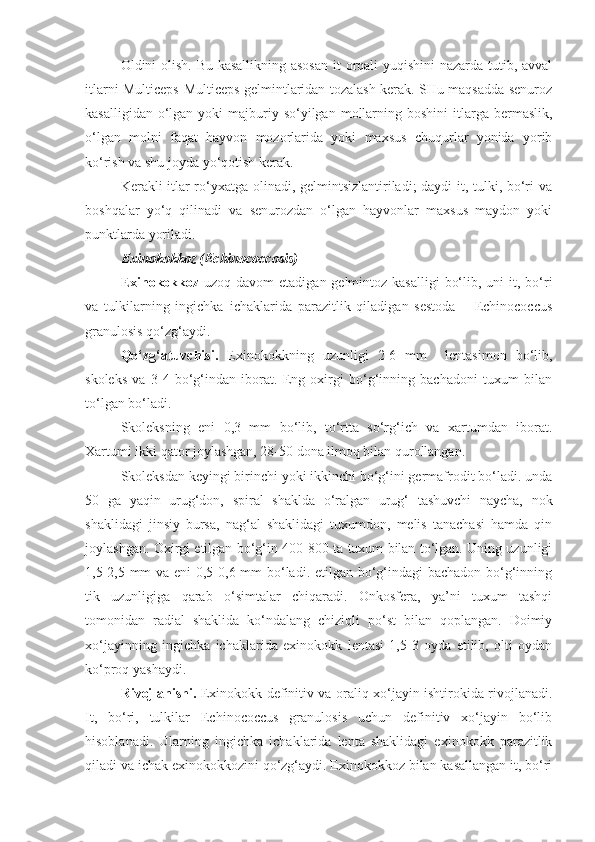 Oldini olish. Bu kasallikning asosan  it  orqali yuqishini nazarda tutib, avval
itlarni Multiceps-Multiceps gelmintlaridan tozalash kerak. SHu maqsadda senuroz
kasalligidan  o‘lgan  yoki   majburiy  so‘yilgan  mollarning boshini   itlarga  bermaslik,
o‘lgan   molni   faqat   hayvon   mozorlarida   yoki   maxsus   chuqurlar   yonida   yorib
ko‘rish va shu joyda yo‘qotish kerak.
Kerakli itlar ro‘yxatga olinadi, gelmintsizlantiriladi; daydi it, tulki, bo‘ri va
boshqalar   yo‘q   qilinadi   va   senurozdan   o‘lgan   hayvonlar   maxsus   maydon   yoki
punktlarda yoriladi.
Exinokokkoz (Echinococcosis)
Exinokokkoz   uzoq davom  etadigan gelmintoz kasalligi  bo‘lib, uni  it, bo‘ri
va   tulkilarning   ingichka   ichaklarida   parazitlik   qiladigan   sestoda   –   Echinococcus
granulosis qo‘zg‘aydi.
Qo‘zg‘atuvchisi.   Exinokokkning   uzunligi   2-6   mm     lentasimon   bo‘lib,
skoleks   va   3-4   bo‘g‘indan   iborat.   Eng   oxirgi   bo‘g‘inning   bachadoni   tuxum   bilan
to‘lgan bo‘ladi. 
Skoleksning   eni   0,3   mm   bo‘lib,   to‘rtta   so‘rg‘ich   va   xartumdan   iborat.
Xartumi ikki qator joylashgan, 28-50 dona ilmoq bilan qurollangan.
Skoleksdan keyingi birinchi yoki ikkinchi bo‘g‘ini germafrodit bo‘ladi. unda
50   ga   yaqin   urug‘don,   spiral   shaklda   o‘ralgan   urug‘   tashuvchi   naycha,   nok
shaklidagi   jinsiy   bursa,   nag‘al   shaklidagi   tuxumdon,   melis   tanachasi   hamda   qin
joylashgan. Oxirgi etilgan bo‘g‘in 400-800 ta tuxum bilan to‘lgan. Uning uzunligi
1,5-2,5 mm  va eni  0,5-0,6 mm bo‘ladi. etilgan bo‘g‘indagi bachadon bo‘g‘inning
tik   uzunligiga   qarab   o‘simtalar   chiqaradi.   Onkosfera,   ya’ni   tuxum   tashqi
tomonidan   radial   shaklida   ko‘ndalang   chiziqli   po‘st   bilan   qoplangan.   Doimiy
xo‘jayinning   ingichka   ichaklarida   exinokokk   lentasi   1,5-3   oyda   etilib,   olti   oydan
ko‘proq yashaydi.
Rivojlanishi.   Exinokokk definitiv va oraliq xo‘jayin ishtirokida rivojlanadi.
It,   bo‘ri,   tulkilar   Echinococcus   granulosis   uchun   definitiv   xo‘jayin   bo‘lib
hisoblanadi.   Ularning   ingichka   ichaklarida   lenta   shaklidagi   exinokokk   parazitlik
qiladi va ichak exinokokkozini qo‘zg‘aydi. Exinokokkoz bilan kasallangan it, bo‘ri 