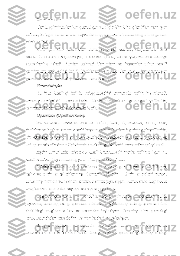 Gelmintozlar
Itlarda   gelmintozlar   keng   tarqalgan   va   og‘ir   klinik   belgilar   bilan   namoyon
bo‘ladi, ko‘pgin hollarda ular hayvonlarning, ayniqsa it bolalarining o‘limiga ham
sabab bo‘ladi.
Ko‘p   gelmintoz   kasalliklari   itlarda   surunkali   kechadi,   natijada   ular   ozib
ketadi.   It   bolalari   rivojlanmaydi,   o‘sishdan   qoladi,   ularda   yuqumli   kasalliklarga
sezuvchanlik   oshadi.   Bundan   tashqari   itlar   odam   va   hayvonlar   uchun   xavfli
gelmintlarni   tashuvchisi   bo‘lib   hisoblanadi.   Kitobda   itlar   orasida   keng   tarqalgan
gelmintoz kasalliklari to‘g‘risida ma’lumot berilgan.
Trematodozlar
Bu   itlar   kasalligi   bo‘lib,   qo‘zg‘atuvchisi   trematoda   bo‘lib   hisoblanadi,
umumiy nomlanishi  – trematodozlar. Itlarda trematodalar  jigarning o‘t  yo‘llarida,
oshqozon, ingichka ichakda parazitlik qiladi.
Opistorxoz (Opisthorchosis)
Bu   surunkali   invazion   kasallik   bo‘lib,   tulki,   it,   mushuk,   sobol,   sher,
cho‘chqa va boshqa sut emizuvchi hayvonlar hamda odam jigarining o‘t yo‘llarida,
o‘t   xaltasida,   oshqozon   osti   bezi   suyuqligini   o‘tkazuvchi   yo‘llarida   joylashadi   va
uni opistorxis oilasining Opisthorchis turkumiga kiruvchi trematodlar qo‘zg‘atadi. 
Ayrim  tumanlarda opistorxoz kasallik tarqatuvchi  manba bo‘lib qolgan. Bu
kasallik ba’zan hayvonlarning yalpi o‘latiga sabab bo‘ladi.
Etiologiyasi .   Opisthorchis   felineus   ning   uzunligi   8-12   mm,   eni   1,2-2   mm,
og‘iz   va   qorin   so‘rg‘ichlarining   diametri   0,25   mm.     Qorin   so‘rg‘ichi   parazit
tanasining birinchi va ikkinchi chorak qismida joylashgan. Parrak shaklidagi ikkita
urug‘donlari birin-ketin keyingi choragida joylashadi.
Urug‘donlar   orasida   “S”   shaklida   egilgan   chiqaruv   –   ekskretor   pufak
joylashib, tananing oxirgi qismidan ochiladi. Urug‘donning oldingi qismida retort
shaklidagi   urug‘don   xaltasi   va   tuxumdon   joylashgan.   Tananing   o‘rta   qismidagi
ichak ustunchalari orasida ilmoqsimon bachadon joylashgan.
Sariqlik   moddasini   chiqaruvchi   follikulalar   tana   devori   bilan   ichak
ustunchalari   orasida   ko‘rinib   turadi.   Jinsiy   teshiklari   qorin   so‘rg‘ichining   oldingi 