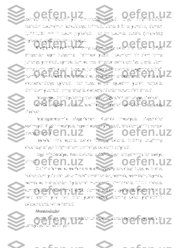 teshiklar   bo‘g‘inchalarni   yon   tomonlarida   ochiladi.   Etilgan   bo‘g‘inchalarda
bachadon   tuxumsimon   kapsulalarga   bo‘linadi,   ularda   5-20   ta   yumaloq,   diametri
0,043-0,050   mm   li   tuxum   joylashadi.   Har   bir   tuxumda   qurtcha   (onkosfera)
joylashadi, unda oltita ilmoq mavjud.
Rivojlanish   davri .   Gelmintning   tuxumi   itning   axlati   bilan   tashqi   muhitga
chiqgandan   keyin   burganing     lichinkasi   yutadi.   Tuxumlarni   bir   qismi   itning
junlariga   yopishadi,   ayniqsa   dum   va   orqa   chiqaruv   teshik   atrofiga   u   erda   ularni
itning   junini   topib   yutadi.   Burga   va   jun   eyuvchi   oshqozonida   tuxumning   qobig‘i
hazm bo‘lib onkosfera ajralib chiqadi va u hasharotni tanasiga kiradi. U erda ular
sistotserkoidlarga   aylanadi.   Itlar   burga   va   jun   eyuvchini   yutishi   natijasida
dipilidozni yuqtiradi. Itning ichagida sissitserkoidlardan parazit o‘sib chiqadi.
Patogenez.  Dipilidiyalarning itlar organizmiga ta’siri teniozlarga o‘xshash.
Klinik   belgilar .   Itlarda     kasallikning   belgilari   teniozlarni   belgilariga
o‘xshash.
Patalogoanatomik   o‘zgarishlar .   Kuchsiz   invaziyada   o‘zgarishlar
sezilmaydi. Kuchli invaziyada hayvon vaznini yo‘qotadi, ichaklarni shilliq pardasi
qizargan bo‘ladi.
Tashxis .   Tirik   vaqtida   tashxis   itlarning   axlatida   bodiring   urug‘ining
shaklidagi etilgan bo‘g‘inchlarni topilishiga asoslanib qo‘yiladi.
Degelmintizatsiya.   Sestodozlarda   qo‘llaniladigan   antigelmintik-lar   tavsiya
qilinadi.
Oldini   olish  va  kurashish   choralari . Itlarning  tanasidagi  burga va  boshqa
hasharotlarni yo‘qotish uchun “Bars” tomchilaridan, ivermek, ivermektin, baymek,
ivamek   va   boshqalardan   foydalanish   mumkin.   CHo‘miltirishda   1:1000   nisbatda
suminak   bilan   ishlov   berish   kerak.   Itlarning   qafasini,   uychasi   va   valerini   3   %   li
issiq   kreolin   yoki   lizol   bilan   yuvish   kerak.   Itlarning   axlati   yig‘ishtirilib
axlatxonalarda ishlov beriladi.
Nematodozlar
Itlarda 30 dan ortiq nematodalar turi mavjud, ulardan ayrimlari, ayniqsa ko‘p
uchraydiganlari keltirilgan. 