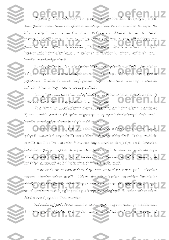 O‘pkadagi   lichinkalarning   bir   qismi   qon   tomirlaridan   chiqmaydi,   o‘pka
kapillyarlari orqali katta qon aylanish doirasiga o‘tadi va qon bilan har xil organ va
to‘qimalarga   boradi   hamda   shu   erda   inssistirlanadi.   Sistalar   ichida   lichinkalar
o‘smaydi, lekin o‘lmaydi ham. SHunday ko‘rinishda it va boshqa yirtqichlar yutib
yuborsa,   ular   hayvon   ichaklarida   jinsiy   voyaga   etguncha   o‘sadi.   Bo‘g‘oz
hayvonlarda   lichinkalar   katta   qon   aylanish   doirasidan   ko‘pincha   yo‘ldosh   orqali
homila organizmiga o‘tadi. 
Bunday   hollarda   itlar   toksokarlar   bilan   invaziyalanib   tug‘iladi.   Lichinkalar
bo‘g‘oz   hayvonlar   bachadonida,   homilaning   esa   faqat   o‘pka,   qon   va   jigarida
joylashadi.   Odatda   it   bolasi   tug‘ilgandan   keyin   lichinkalar   ularning   o‘pkasida
bo‘ladi,  2 kundn keyin esa ichaklariga o‘tadi.
Itning Toxocara canis turi qo‘zg‘atadigan toksokaroz bilan shikastlanishi: 1)
invazionli tuxumlarni oziqa yoki suv bilan yutganda; 
2) go‘sht bilan taksokarlarning kapsulasiga o‘ralgan lichinkalarini eganda va
3) ona qornida zararlanishi, ya’ni migratsiya qilayotgan lichinkalar yo‘ldosh orqali
homila organizmiga o‘tganda ro‘y berishi mumkin. 
Toxoscaris   leonina   ning   urg‘ochilari   definitiv   xo‘jayin   ichaklariga   tuxum
qo‘yadi, tuxumlari  keyinchalik tezak  bilan  tashqariga chiqariladi. Tashqi  muhitda
namlik   etarli   bo‘lsa   tuxumlar   3   kundan   keyin   invzion   darajasiga   etadi.   Invazion
tuxumlarni   yutgan   hayvon   ichagida   lichinkalar   ajralib   chiqadi   va   ichak   devoriga
kiradi, u erda rivojlanishni davom ettiradi. Bir oz vaqtdan keyin lichinkalar ichak
bo‘shlig‘iga qaytadi va 3-4 hafta o‘tgach jinsiy voyaga etadi.
Toksokariz   va   toksaskaridozning   mediko-sanitar   ahamiyati .   Toksokar
tuxumi   odamlar   uchun   xavfli.     Odam   ichagida   toksokar   tuxumidan   lichinkalar
chiqib, ular qon aylanish  tizimi bo‘ylab harakat qiladi va shu davrda har xil organ
va to‘qimalarga tushib, og‘ir patologik jarayonni qo‘zg‘aydi. SHuning uchun odam
fakultativ xo‘jayin bo‘lishi mumkin.
Epizootologiyasi.   Askaridatozlar asosan yosh hayvon kasalligi hisoblanadi.
Klinik belgilari  17-20 kunlik it bolalarida ma’lum bo‘ladi. Ko‘pincha invaziya 1-3 