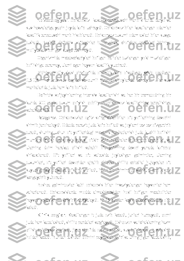 Epizootologiyasi .   Opistorxoz     kasallik   tarqatuvchi   manb   sifatida   daryo   va
suv havzalariga yaqin joyda ko‘p uchraydi. Opistorxoz bilan kasallangan odamlar
kasallik tarqatuvchi manb hisoblanadi. Opistorxoz tuxumi odam axlati bilan suvga
tushadi.   Boshqa   definitiv   xo‘jayinlar   it,   mushuk,   cho‘chqa   tezaklari   bitiniya
mollyuskasi bo‘lgan suvga tushmaydi.
Organizmida   metatserkariylari   bo‘lgan   baliqlar   tuzlangan   yoki   muzlatilgan
bo‘lishiga qaramay, ularni egan hayvon kasallik yuqtiradi.
Bitiniya   mollyuskasi   qirg‘og‘ida   o‘simlik   ko‘p   o‘sadigan,   sekin   oqadigan
0,5-0,6   m   chuqur   suv   tagida   va   qumli   botqoqlik   joylarida   uchraydi.   Ular   suv
manbalarida juda ham ko‘p bo‘ladi.
Definitiv   xo‘jayinlarning   intensiv   kasallanishi   va   har   bir   trematodning   bir
kunda   900   gacha   tuxum   qo‘yish   qobiliyati   opistorxoz   kasalligining   tarqalishiga
sabab bo‘ladi.
Patogenez .   Opistorxozlar   og‘iz   so‘rg‘ichlaribilan   o‘t   yo‘llarining   devorini
shimib jarohatlaydi. Odatda parazit juda ko‘p bo‘ladi va joylarni tez-tez o‘zgartirib
turadi,   shuning   uchun   o‘t   yo‘llaridagi   mexanik   jarohatlanish   juda   kuchli   bo‘lishi
mumkin.   YOsh   opistorxis   tanasi   o‘tkir   xitin   tukchalar   bilan   qoplanganligi   va
ularning   doim   harakat   qilishi   sababli   o‘t   yo‘lining   devori   yanada   ko‘proq
shikastlanadi.   O‘t   yo‘llari   va   o‘t   xaltasida   joylashgan   gelmintlar,   ularning
tuxumlari,   o‘t   yo‘llari   devoridan   ajralib   chiqqan   shilliq   epitelial   hujayralar   o‘t
suyuqligining   oqishiga   to‘sqinlik   qiladi,   hatto   o‘t   oqimini   to‘xtatib,   u   erni   kistoz
kengaytirib yuboradi.
Boshqa   gelmintozlar   kabi   opistorxis   bilan   invaziyalangan   hayvonlar   ham
zaharlanadi.   Opistorxislarda   modda   almashinuvidan   hosil   bo‘lgan   metabolitlar
hayvon organizmini sensibilizatsiyalaydi. 10-15 kundan keyin allergik holatga olib
keladi.
Klinik   belgilar .   Kasallangan   it   juda   ozib   ketadi,   junlari   hurpayadi,   qorni
juda ham kattalashadi, shilliq pardalari sarg‘ayadi. Oshqozon va ichaklarning hazm
qilish   qobiliyati   buziladi,   jigar   atrofida   og‘riq   sezilib,   suv   to‘planadi.   It   ziflashib
holdan ketadi. Bundan tashqari qornini paypaslab ko‘rilsa uning jigari kattalashib, 