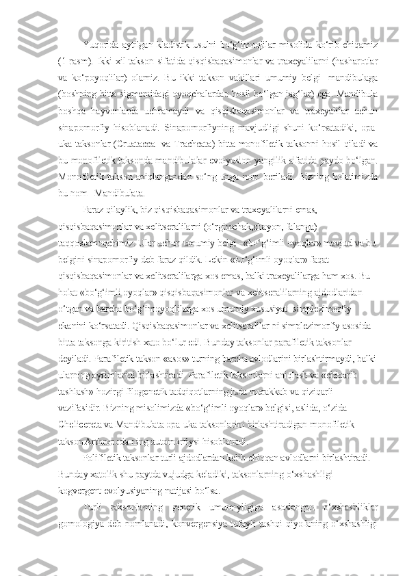 Yuqorida   aytilgan   kladistik   usulni   bo‘g‘imoqlilar   misolida   ko‘rib   chiqamiz
(1-rasm). Ikki xil takson sifatida qisqisbaqasimonlar  va traxeyalilarni (hasharotlar
va   ko‘poyoqlilar)   olamiz.   Bu   ikki   takson   vakillari   umumiy   belgi-   mandibulaga
(boshning bitta sigmentidagi oyoqchalardan hosil bo‘lgan jag‘lar) ega. Mandibula
boshqa   hayvonlarda   uchramaydi   va   qisqisbaqasimonlar   va   traxeyalilar   uchun
sinapomorfiy   hisoblanadi.   Sinapomorfiyning   mavjudligi   shuni   ko‘rsatadiki,   opa-
uka taksonlar  ( Cruatacea    va   Tracheata ) bitta monofiletik taksonni  hosil qiladi va
bu monofiletik taksonda mandibulalar evolyusion yangilik sifatida paydo bo‘lgan.
Monofiletik   takson   aniqlangandan   so‘ng   unga   nom   beriladi.   Bizning   holatimizda
bu nom – Mandibulata .
Faraz qilaylik, biz qisqisbaqasimonlar va traxeyalilarni emas, 
qisqisbaqasimonlar va xelitseralilarni (o‘rgimchak,chayon, falanga) 
taqqoslamoqchimiz. Ular uchun umumiy belgi –«bo‘g‘imli oyoqlar» mavjud va bu
belgini sinapomorfiy deb faraz qildik. Lekin «bo‘g‘imli oyoqlar» faqat 
qisqisbaqasimonlar va xelitseralilarga xos emas, balki traxeyalilarga ham xos. Bu 
holat «bo‘g‘imli oyoqlar» qisqisbaqasimonlar va xelitseralilarning ajdodlaridan 
o‘tgan va barcha bo‘g‘imoyoqlilarga xos umumiy xususiyat- simplezimorfiy 
ekanini ko‘rsatadi. Qisqisbaqasimonlar va xelitseralilar ni simplezimorfiy asosida 
bitta taksonga kiritish xato bo‘lur edi. Bunday taksonlar parafiletik taksonlar 
deyiladi. Parafiletik takson «asos» turning barcha avlodlarini birlashtirmaydi, balki
ularning ayrimlarini birlashtiradi. Parafiletik taksonlarni aniqlash va «chiqarib 
tashlash» hozirgi filogenetik tadqiqotlarning juda murakkab va qiziqarli 
vazifasidir. Bizning misolimizda «bo‘g‘imli oyoqlar» belgisi, aslida, o‘zida 
Chelicereta  va  Mandibulata  opa-uka taksonlarini birlashtiradigan monofiletik 
takson   Arthropoda  ning automorfiysi hisoblanadi.
Polifiletik taksonlar turli ajdodlardan kelib chiqqan avlodlarni birlashtiradi. 
Bunday xatolik shu paytda vujudga keladiki, taksonlarning o‘xshashligi 
kogvergent evolyusiyaning natijasi bo‘lsa.
Turli   taksonlarning   genetik   umumiyligiga   asoslangan   o‘xshashliklar
gomologiya   deb   nomlanadi,   konvergensiya   tufayli   tashqi   qiyofaning   o‘xshashligi 