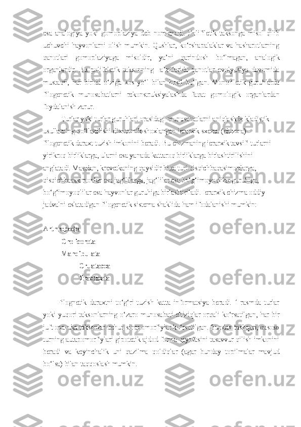 esa   analogiya   yoki   gomoplaziya   deb   nomlanadi.   Polifiletik   taksonga   misol   qilib
uchuvchi   hayvonlarni   olish   mumkin.   Qushlar,   ko‘rshapalaklar   va   hasharotlarning
qanotlari   gomoplaziyaga   misoldir,   ya’ni   qarindosh   bo‘lmagan,   analogik
organlardir.   Bu   polifeletik   taksonning     a’zolarida   qanotlar   evolyusiya   davomida
mustaqil,   har   birida   o‘ziga   xos   yo‘l   bilan   hosil   bo‘lgan.   Monofiletik   guruhlarda
filogenetik   munosabatlarni   rekonstruksiyalashda   faqat   gomologik   organlardan
foydalanish zarur. 
Turlar yoki turlar guruhlari orasidagi munosabatlarni aniqlashda kladistik 
usullarning qo‘llanilishi dixotomik shoxlangan ierarxik sxema (chizma) - 
filogenetik daraxt tuzish imkonini beradi. Bu chizmaning ierarxik tavsifi turlarni 
yirikroq birliklarga, ularni esa yanada kattaroq birliklarga birlashtirilishini 
anglatadi. Masalan, krevetkaning qaysidir bitta turi qisqichbaqasimonlarga, 
qisqichbaqasimonlar esa jag‘lilarga, jag‘lilar esa bo‘g‘imoyoqlilar guruhiga, 
bo‘g‘imoyoqlilar esa hayvonlar guruhiga birlashtiriladi. Ierarxik chizma oddiy 
jadvalni eslatadigan filogenetik sistema shaklida ham ifodalanishi mumkin:
Arthropoda  
Chelicereta  
Mandibulata  
Cruatacea   
Tracheata  
Filognetik   daraxtni   to‘g‘ri   tuzish   katta   informatsiya   beradi.   1-rasmda   turlar
yoki  yuqori  taksonlarning o‘zaro munosabati  chiziqlar  orqali  ko‘rsatilgan,  har  bir
juft opa-uka taksonlar uchun sinapomorfiylar ko‘rsatilgan. Bundan tashqari, «asos»
turning autapomorfiylari gipotetik ajdod forma qiyofasini tasavvur qilish imkonini
beradi   va   keyinchalik   uni   qazilma   qoldiqlar   (agar   bunday   topilmalar   mavjud
bo‘lsa) bilan taqqoslash mumkin.  