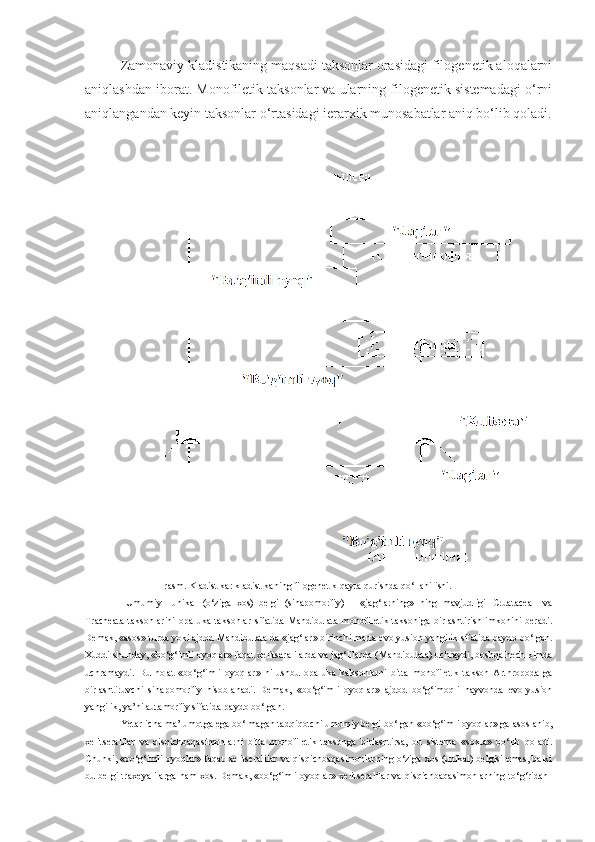 Zamonaviy kladistikaning maqsadi taksonlar orasidagi filogenetik aloqalarni
aniqlashdan iborat. Monofiletik taksonlar va ularning filogenetik sistemadagi o‘rni
aniqlangandan keyin taksonlar o‘rtasidagi ierarxik munosabatlar aniq bo‘lib qoladi.
1-rasm. Kladistika: kladistikaning filogenetik qayta qurishda qo‘llanilishi.
  Umumiy     unikal   (o‘ziga   xos)   belgi   (sinapomorfiy)   –   «jag‘larning»   ning   mavjudligi   Cruatacea     va
Tracheata   taksonlarini   opa-uka  taksonlar   sifatida   Mandibulata   monofiletik taksoniga  birlashtirish imkonini   beradi.
Demak, «asos» turda yoki ajdod  Mandibulata  da «jag‘lar» birinchi marta evolyusion yangilik sifatida paydo bo‘lgan.
Xuddi shunday, «bo‘g‘imli oyoqlar» faqat xelitseralilarda va jag‘lilarda ( Mandibulata ) uchraydi, boshqa hech kimda
uchramaydi.   Bu   holat   «bo‘g‘imli   oyoqlar»   ni   ushbu   opa-uka   kaksonlarni   bitta   monofiletik   takson- Arthropoda   ga
birlashtiruvchi   sinapomorfiy   hisoblanadi.   Demak,   «bo‘g‘imli   oyoqlar»   ajdod   bo‘g‘imoqli   hayvonda   evolyusion
yangilik, ya’ni autamorfiy sifatida paydo bo‘lgan. 
Yetarlicha ma’lumotga ega bo‘lmagan tadqiqotchi umumiy belgi bo‘lgan «bo‘g‘imli oyoqlar» ga asoslanib,
xelitseralilar   va   qisqichbaqasimonlarni   bitta   monofiletik   taksonga   birlashtirsa,   bu   sistema   «soxta»   bo‘lib   qoladi.
Chunki, «bo‘g‘imli oyoqlar» faqat xelitseralilar va qisqichbaqasimonlarning o‘ziga xos (unikal) belgisi emas, balki
bu belgi traxeyalilarga ham xos. Demak, «bo‘g‘imli oyoqlar» xelitseralilar va qisqichbaqasimonlarning to‘g‘ridan- 