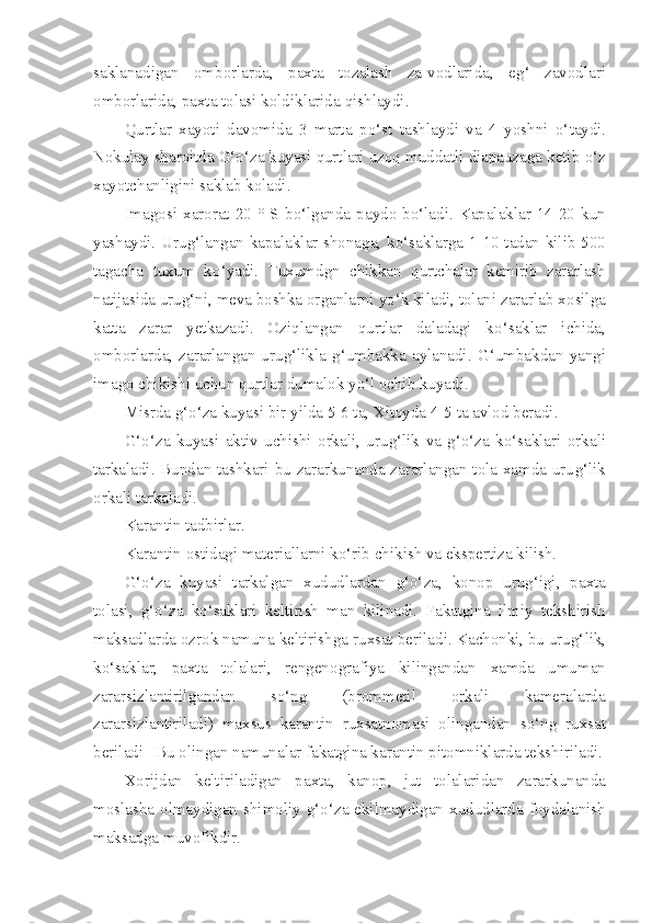 saklanadigan   omborlarda,   paxta   tozalash   za-vodlarida,   e g‘   zavodlari
omborlarida, paxta tolasi koldiklarida  q ishlaydi.
Qurtlar   xayoti   davomida   3   marta   p o‘ st   tashlaydi   va   4   yoshni   o‘ taydi.
Nokulay sharoitda  G‘o‘z a  kuyasi qurtlari  uzoq  muddatli  diapauzaga ketib  o‘ z
xayotchanligini saklab koladi.
Imagosi  x a rorat  20  °  S b o‘ lganda  paydo  b o‘ ladi.  Kapalaklar  14-20  kun
yashaydi. Uru g‘ langan kapalaklar shonaga, k o‘ saklarga 1-10 tadan kilib 500
tagacha   tuxum   k o‘ yadi.   Tuxumdgn   chikkan   qu rtchalar   kemirib   zararlash
natijasida uru g‘ ni, meva boshka or ganlarni y o‘ k kiladi, tolani zararlab x o silga
katta   zarar   yetkazadi.   Ozi q langan   qurtlar   daladagi   k o‘ saklar   ichida,
omborlarda,  zararlangan  uru g‘ likla   g‘ umbakka  aylanadi.   G‘ umbakdan  yangi
imago chikishi uchun qurtlar dumalok y o‘ l ochib kuyadi.
Misrda  g‘o‘z a  kuyasi bir yilda 5-6 ta, Xitoyda 4-5 ta avlod beradi.
G‘o‘z a   kuyasi   aktiv   uchishi   orkali,   uru g‘ lik   va   g‘o‘z a   k o‘ saklari   orkali
tarkaladi. Bundan tashkari bu zararkunanda zararlangan tola xamda uru g‘ lik
orkali tarkaladi.
Karantin tadbirlar.
Karantin ostidagi materiallarni k o‘ rib chikish va eksperti za kilish.
G‘o‘z a   kuyasi   tarkalgan   xududlardan   g‘o‘ za,   konop   uru g‘ igi,   paxta
tolasi,   g‘o‘ za   k o‘ saklari   keltirish   man   kilinadi.   Fakatgina   ilmiy   tekshirish
maksadlarda ozrok namuna keltirishga ruxsat be riladi. Kachonki, bu uru g‘ lik,
k o‘ saklar,   paxta   tolalari,   rengeno grafiya   kilingandan   x amda   umuman
zararsizlantirilgandan   s o‘ ng   (brommetil   orkali   kameralarda
zararsizlantiriladi)   maxsus   ka rantin   ruxsatnomasi   olingandan   s o‘ ng   ruxsat
beriladi   Bu olingan namunalar fakatgina karantin pitomniklarda tekshiriladi.
Xorijdan   keltiriladigan   paxta,   kanop,   jut   tolalaridan   za rarkunanda
moslasha olmaydigan shimoliy   g‘o‘ za ekilmaydigan xududlarda foydalanish
maksadga muvofikdir. 