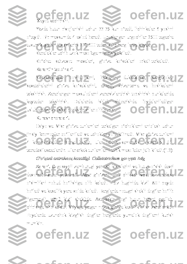  Xayot kechirishi.
Yezda   butun   rivojlanishi   uchun   33-35   kun   o‘tadi,   lichinkalar   6   yoshni
o‘taydi. Bir mavsumda 4 avlod beradi. Uruglangan urgochilar 2500 tagacha
tuxum kuyadi. Tuxumlarini 200-600 tadan kilib barg-larga kuyadi.
Kapalaklar uchib uzok masofaga migratsiya kiladi.
K o‘ chat    sabzavot    mevalari,     g‘o‘ za    k o‘ saklari    orkali tarkaladi.
Karantin tadbirlari.
Keltirilayotgan   pomidorlarni,   baklajon,   dukkaklilar,   kungabokar
savatchalarini   g‘o‘z a   k o‘ saklarini,   atirgul,   xrizantema   va   boshkalarni
tekshirish.   Zararlangan   maxsulotlarni   zararsizlantirish   topshirish   punktlarida
kaytadan   tekshirish.   Dalalarda   ishlab   chi q arishda   foydalaniladigan
uslublardan foydalanib tekshirishlar olib borish.
Kurash choralari.
Osiyo   va   Misr   g‘o‘ za   tunlamlari   tarkalgan   o‘ chok l arni   ani ql ash   uchun
jinsiy feromonlar   qo‘ llaniladi va uchoklar y o‘q   kilinadi. Misr   g‘o‘ za tunlami
4   komponentdan   iborat   bo‘lib,   ular   ichida   samaralisi   sistrans-9,   11-
tetradesilasetatlardir. Ular erkak tunlamlarni uzok masofadan jalb kiladi.(1.2)
G‘o‘ zani antraknoz kasalligi-  Colletotrichum   gossypti   Edg
Zarari.   G   gossypii   zamburugi yer usti kismlarini va butun   o‘ sish davri
davomida   zarar   yetkazadi.   Agar   g‘o‘ zani   unib   chikkan   vaktida   zararlasa
o‘simlikni   nobud   b o‘ lishiga   olib   keladi.   Ildiz   buginida   kizil   AOF   paydo
b o‘ ladi va kasallik yara x o lda koladi. Barglarda notugri shakli do g‘ lar bo‘lib
jigarrangli,   atrofi   kizil   shaklida.   Asta-sekin   dog‘   butun   bargni   egallab,
chirishga olib keladi. Voyaga yetgan nozik   g‘o‘ za kasallik bilan zararlanadi.
Poyalarda   uzunchok   kiz g‘ ish   do g‘ lar   barglarda   yumalok   dog‘larni   kurish
mumkin. 