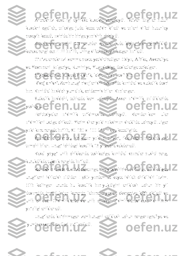 Antraknoz   kasalligi   ayniksa   kusakni   zararlaydi.   Ba’zan   dog‘lar   butun
kusakni   egallab,   tolasiga   juda   katta   ta’sir   kiladi   va   tolani   sifati   butunlay
pasayib ketadi, oxirida bir-biriga yopishib chiriydi.
Zararlangan   urugini   COF   ururdan   ajratish   juda   kiyin,   lekin   sinchiklab
karasa rangi  capFHiii  bo‘lib, uning sifati pasayib ketgan b o‘ ladi.
G‘o‘z a  anraknozi x a mma paxta yetishtiradigan Osiyo, Afrika, Avstraliya
va Yevropani Bolgariya, Ruminiya, Yugoslaviya davlatlariga tarkalgan.
O‘ zbekistonda bu kasallik y o‘ k, lekin  o‘ tish xavfi bor.
Rivojlanishi.  Zamburu g‘  rivojlanishi davomida konidial va  sutkalik davri
bor. Konidial boskich yumalok, epidermis bilan Koplangan.
Sutkalik   boskichi,   tabiatda   kam   uchraydi.   Assan   o‘simlik   q oldiklarida
yashaydi.
Perititsiyalar   o‘simlik   t o‘ kimasida   uchraydi.   Kamdan-kam   ular
o‘simlikni ustiga chikadi. Yarim shar yoki noksimon shaklida uchraydi. Jigar
yoki kora rangda bo‘lib, 80-120 x  100-160 mkm, kattaligida.
Sporalar   elipsimon,   bir   kator   yoki   not o‘g‘ ri,   ikki   kator   o‘ rtasida   e g‘
tomchi bilan. Uru g‘  ichidagi kasallik 13 yilgacha sakdanadi.
Kasal   ypy g‘   unib   chikkanda   tashkariga   konidial   sporalar   pushti   rang,
kurukdikda tukrok rangida b o‘ ladi.
Kurash choralari.   O‘ zbekistonga ilmiy tekshirish ishlariga olib kelgan
uru g‘ larni   ishlatish   oldidan   H
2 S 0
4   yordamida   kayta   ishlab   chikilishi   lozim.
Olib   kelingan   ururda   bu   kasallik   bor-yukdigini   anik l ash   uchun   bir   yil
davomida   introduksion   karan tin   laboratoriyasida   ekspertiza   kilib   ekiladi   va
unib   chikkan   O‘simliklarda   va   unib   chikkan   o‘simliklarda   kasallikni   bor-
y o‘ql igi anik l anadi.
Uru g‘ larda   k o‘ rinmagan   zamburugni   aniklash   uchun   rengenografiya   va
lyuminessent metodlari  qo‘ llaniladi. 