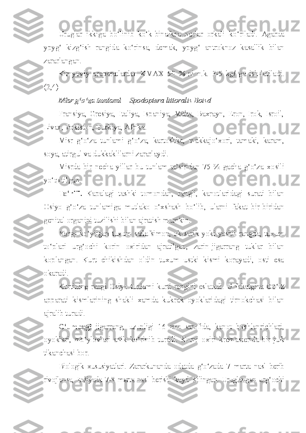 Uruglar   ikkiga   b o‘ linib   k o‘ k-binafsha   nurlar   orkali   k o‘ riladi.   Agarda
ypy g‘   kiz g‘ ish   rangida   k o‘ rinsa,   demak,   ypy g‘   antroknoz   kasallik   bilan
zararlangan.
Kimyoviy   preparatlardan   KMAX   50   %   ni   n.k.   3-5   kg/   ga   ish-latiladi.
(2,4)
Misr   g‘o‘ za   tunlami   —Spodoptera littoralis Boisd
Fransiya,   Gresiya,   Italiya,   Ispaniya,   Malta,   Baxrayn,   Eron,   Irok,   Isroil,
Livan, Pokiston, Turkiya, Afrika.
Misr   g‘o‘za   tunlami   g‘o‘za,   kartoshka,   makkaj o‘ xori,   tamaki,   ka ram,
soya, atirgul va dukkaklilarni zararlaydi.
Misrda   bir   necha   yillar   bu   tunlam   ta’siridan   75   %   gacha   g‘o‘za   x o sili
y o‘q otilgan.
Ta’rifi.   Kapalagi   tashki   tomondan,   rangli,   kanotlaridagi   surati   bilan
Osiyo   g‘o‘za   tunlamiga   mutlako   o‘ xshash   bo‘lib,   ularni   fakat   bir-biridan
genital organini tuzilishi bilan ajratish mumkin.
Yangi k o‘ yilgan tuxum sadafsimon, ok-sarik yoki yashil rangda, tuxum
t o‘ plari   ur g‘ ochi   korin   oxiridan   ajratilgan,   zarin-jigarrang   tuklar   bilan
koplangan.   Kurt   chikishdan   oldin   tuxum   ustki   kismi   korayadi,   osti   esa
okaradi.
Kurtining  rangi  Osiyo   tunlami  kurti  rangini  eslatadi.  U  fakatgina   O G ‘ IZ
apparati   kismlarining   shakli   xamda   kukrak   oyoklaridagi   tirnokchasi   bilan
ajralib turadi.
G‘umbagi   jigarrang,   uzunligi   16   mm   atrofida,   kanot   bosh lanrichlari,
oyok l ari,   m o‘ ylovlari   anik   k o‘ rinib   turadi.   K o rni   oxiri   kremasterida   bir   juft
tikanchasi bor.
Biologik   xususiyatlari.   Zararkunanda   odatda   g‘o‘za da   7   marta   nasl   berib
rivojlansa,   Italiyada   7-8   marta   nasl   berishi   kayd   Kilingan.   Uruglangan   ur g‘ ochi 