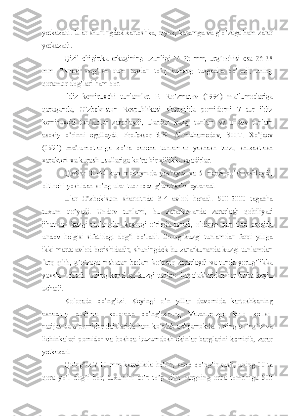 yetkazadi. Ular shuningdek kartoshka, piyoz, karamga va g’o’zaga ham zarar
yetkazadi.
Qizil   chigirtka   erkagining   uzunligi   14-23   mm,   urg’ochisi   esa   26-38
mm.   Tanasi   sarg’ish   qum   tusdan   to’q   kulrang   tusgacha   bo’ladi,   uning
qoramtir dog’lari ham bor.
Ildiz   kemiruvchi   tunlamlar.   P.   Ro’zmatov   (1994)   ma’lumotlariga
qaraganda,   O’zbeknston   Respublikasi   sharoitida   pomidorni   7   tur   ildiz
kemiruvchi   tunlamlar   zararlaydi,   ulardan   kuzgi   tunlam   va   undov   tunlam
asosiy   o’rinni   egallaydi.   Professor   S.N.   Alimuhamedov,   SH.T.   Xo’jaev
(1991)   ma’lumotlariga   ko’ra   barcha   tunlamlar   yashash   tarzi,   shikastlash
xarakteri va kurash usullariga ko’ra bir xillikka egadirlar.
Qurtlar   30-40   kun   mobaynida   yashaydi   va   5   marta   po’st   tashlaydi,
oltinchi yoshidan so’ng ular tuproqda g’umbakka aylanadi.
Ular   O’zbekiston   sharoitpda   3-4   avlod   beradi.   500-2000   tagacha
tuxum   qo’yadi.   Undov   tunlami,   bu   zararkunanda   zararlash   qobiliyati
jihatidan   kuzgi   tunlamdan   keyingi   o’rinda   turadi,   oldingn   qanotlari   asosida
undov   belgisi   sifatidagi   dog’i   bo’ladi.   Uning   kuzgi   tunlamdan   farqi   yiliga
ikki marta avlod berishidadir, shuningdek bu zararkunanda kuzgi tunlamdan
farq qilib, g’o’zaga nisbatan bedani ko’proq zararlaydi va tunda yorug’likka
yaxshi   uchadi.   Uning   kapalagi   kuzgi   tunlam   kapalaklaridan   bir   hafta   keyin
uchadi.
Kolorado   qo’ng’izi.   Keyingi   o’n   yillar   davomida   kartoshkaning
ashaddiy   dushmaii   kolorado   qo’ng’izining   Vatanimizga   kirib   kelishi
natijasida u pomidor dalalarida ham ko’plab uchramokda. Uning qo’ng’iz va
lichinkalari pomidor va boshqa ituzumdosh ekinlar barglarini kemirib, zarar
yetkazadi.
Qo’ng’iz   7 10 mm kattalikda bo’lib, sariq-qo’ng’ir tusli, uning 10 ta
qora   yo’l   dog’i   bor,   tuxumini   to’p-to’p   qilib   bargning   orqa   tomoniga   500 