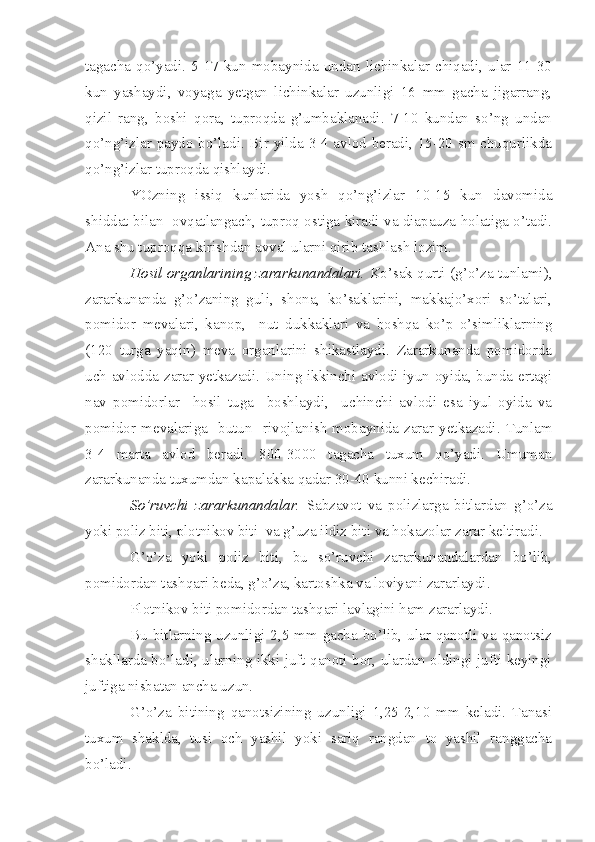 tagacha  qo’yadi.  5-17   kun  mobaynida  undan  lichinkalar  chiqadi,   ular  11-30
kun   yashaydi,   voyaga   yetgan   lichinkalar   uzunligi   16   mm   gacha   jigarrang,
qizil   rang,   boshi   qora,   tuproqda   g’umbaklanadi.   7-10   kundan   so’ng   undan
qo’ng’izlar paydo bo’ladi. Bir yilda 3-4 avlod beradi, 15-20 sm chuqurlikda
qo’ng’izlar tuproqda qishlaydi.
YOzning   issiq   kunlarida   yosh   qo’ng’izlar   10-15   kun   davomida
shiddat bilan     ovqatlangach, tuproq ostiga kiradi va diapauza holatiga o’tadi.
Ana shu tuproqqa kirishdan avval ularni qirib tashlash lozim.
Hosil organlarining zararkunandalari.  Ko’sak qurti-(g’o’za tunlami),
zararkunanda   g’o’zaning   guli,   shona,   ko’saklarini,   makkajo’xori   so’talari,
pomidor   mevalari,   kanop,     nut   dukkaklari   va   boshqa   ko’p   o’simliklarning
(120   turga   yaqin)   meva   organlarini   shikastlaydi.   Zararkunanda   pomidorda
uch avlodda zarar yetkazadi. Uning ikkinchi avlodi iyun oyida, bunda ertagi
nav   pomidorlar     hosil   tuga     boshlaydi,     uchinchi   avlodi   esa   iyul   oyida   va
pomidor  mevalariga     butun     rivojlanish  mobaynida zarar yetkazadi. Tunlam
3-4   marta   avlod   beradi.   800-3000   tagacha   tuxum   qo’yadi.   Umuman
zararkunanda tuxumdan kapalakka qadar 30-40 kunni kechiradi.
So’ruvchi   zararkunandalar.   Sabzavot   va   polizlarga   bitlardan   g’o’za
yoki poliz biti, plotnikov biti    va g’uza ildiz biti va hokazolar zarar keltiradi.
G’o’za   yoki   poliz   biti,   bu   so’ruvchi   zararkunandalardan   bo’lib,
pomidordan tashqari beda, g’o’za, kartoshka va loviyani zararlaydi.
Plotnikov biti pomidordan tashqari lavlagini ham zararlaydi.
Bu bitlarning uzunligi 2,5 mm gacha bo’lib, ular qanotli va qanotsiz
shakllarda bo’ladi, ularning ikki juft qanoti bor, ulardan oldingi jufti keyingi
juftiga nisbatan ancha uzun.
G’o’za   bitining   qanotsizining   uzunligi   1,25-2,10   mm   keladi.   Tanasi
tuxum   shaklda,   tusi   och   yashil   yoki   sariq   rangdan   to   yashil   ranggacha
bo’ladi. 