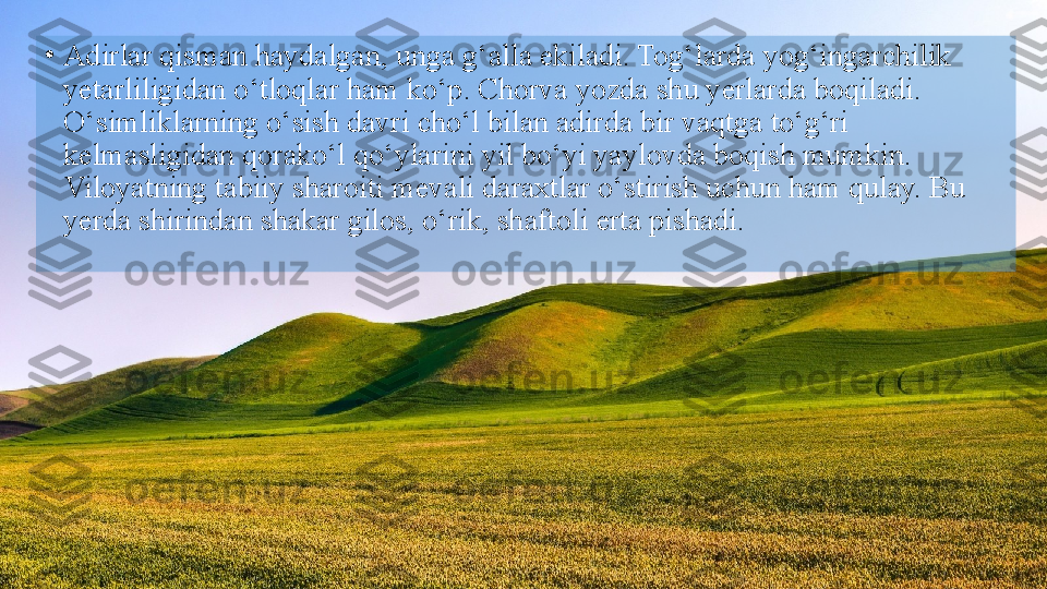 •
Adirlar qisman haydalgan, unga g‘alla ekiladi. Tog‘larda yog‘ingarchilik 
yetarliligidan o‘tloqlar ham ko‘p. Chorva yozda shu yerlarda boqiladi. 
O‘simliklarning o‘sish davri cho‘l bilan adirda bir vaqtga to‘g‘ri 
kelmasligidan qorako‘l qo‘ylarini yil bo‘yi yaylovda boqish mumkin. 
Viloyatning tabiiy sharoiti mevali daraxtlar o‘stirish uchun ham qulay. Bu 
yerda shirindan shakar gilos, o‘rik, shaftoli erta pishadi.  