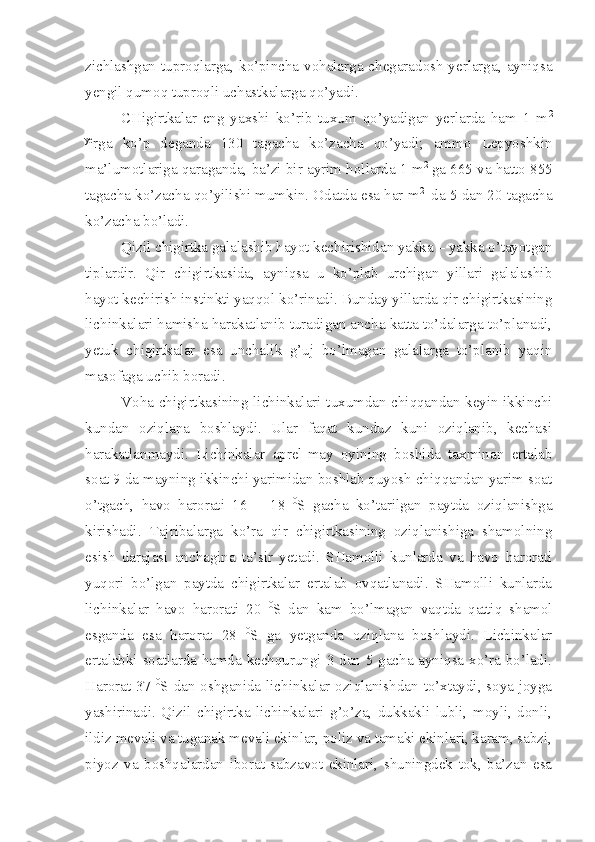 zichlashgan tuproqlarga, ko’pincha vohalarga chegaradosh yerlarga, ayniqsa
yengil qumoq tuproqli uchastkalarga qo’yadi. 
CHigirtkalar   eng   yaxshi   ko’rib   tuxum   qo’yadigan   yerlarda   ham   1   m 2
ye
rga   ko’p   deganda   130   tagacha   ko’zacha   qo’yadi;   ammo   Lepyoshkin
ma’lumotlariga qaraganda, ba’zi bir ayrim hollarda 1 m 2  
ga 665 va hatto 855
tagacha ko’zacha qo’yilishi mumkin. Odatda esa har m 2  
 da 5 dan 20 tagacha
ko’zacha bo’ladi.
Qizil chigirtka galalashib hayot kechirishidan yakka – yakka o’tayotgan
tiplardir.   Qir   chigirtkasida,   ayniqsa   u   ko’plab   urchigan   yillari   galalashib
hayot kechirish instinkti yaqqol ko’rinadi. Bunday yillarda qir chigirtkasining
lichinkalari hamisha harakatlanib turadigan ancha katta to’dalarga to’planadi,
yetuk   chigirtkalar   esa   unchalik   g’uj   bo’lmagan   galalarga   to’planib   yaqin
masofaga uchib boradi.
Voha chigirtkasining lichinkalari tuxumdan chiqqandan keyin ikkinchi
kundan   oziqlana   boshlaydi.   Ular   faqat   kunduz   kuni   oziqlanib,   kechasi
harakatlanmaydi.   Lichinkalar   aprel-may   oyining   boshida   taxminan   ertalab
soat 9 da mayning ikkinchi yarimidan boshlab quyosh chiqqandan yarim soat
o’tgach,   havo   harorati   16   –   18   0
S   gacha   ko’tarilgan   paytda   oziqlanishga
kirishadi.   Tajribalarga   ko’ra   qir   chigirtkasining   oziqlanishiga   shamolning
esish   darajasi   anchagina   ta’sir   yetadi.   SHamolli   kunlarda   va   havo   harorati
yuqori   bo’lgan   paytda   chigirtkalar   ertalab   ovqatlanadi.   SHamolli   kunlarda
lichinkalar   havo   harorati   20   0
S   dan   kam   bo’lmagan   vaqtda   qattiq   shamol
esganda   esa   harorat   28   0
S   ga   yetganda   oziqlana   boshlaydi.   Lichinkalar
ertalabki soatlarda hamda kechqurungi 3 dan 5 gacha ayniqsa xo’ra bo’ladi.
Harorat 37   0
S dan oshganida lichinkalar oziqlanishdan to’xtaydi, soya joyga
yashirinadi.   Qizil   chigirtka   lichinkalari   g’o’za,   dukkakli   lubli,   moyli,   donli,
ildiz mevali va tuganak mevali ekinlar, poliz va tamaki ekinlari, karam, sabzi,
piyoz   va   boshqalardan   iborat   sabzavot   ekinlari,   shuningdek   tok,   ba’zan   esa 