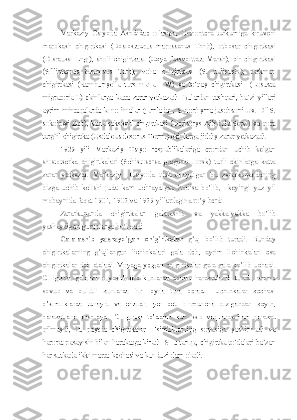 Markaziy   Osiyoda   Asrididae   oilasiga,   Orthoptera   turkumiga   kiruvchi
marokash   chigirtkasi   (Dosiostaurus   marossanus   Thnb),   otbosar   chigirtkasi
(D.sraussi   Lng.),   sholi   chigirtkasi   (Oxya   fussvoittata   Marsh),   qir   chigirtkasi
(Sflliptamus   turanisus   Tarb),   voha   chigirtkasi   (S.   italisusL.),   turkman
chigirtkasi   (Ramburiyella   tursomana   F.W)   va   to’qay   chigirtkasi     (Losusta
migratoria L) ekinlarga katta zarar yetkazadi. Bulardan tashqari, ba’zi yillari
ayrim mintaqalarda konofimalar (jumladan, Sonophyma jasobsoni Uv. Df S.
sokolowi Zub), katta saksovul chigirtkasi (Derisorys Albidula Serv.) va qora
targ’il chigirtka (Osdaleus desorus Germ.) ekinlarga jiddiy zarar yetkazadi.
1929   yili   Markaziy   Osiyo   respublikalariga   erondan   uchib   kelgan
shistotserka   chigirtkalari   (Schistosersa   gregaria   Forsk)   turli   ekinlarga   katta
zarar   yetkazdi.   Markaziy     Osiyoda   qishlamaydigan   bu   zararkunandaning
bizga   uchib   kelishi   juda   kam   uchraydigan   hodisa   bo’lib,     keyingi   yuz   yil
mobaynida faqat 1901, 1902 va 1929 yillardagina ro’y berdi.
Zararkunanda   chigirtkalar   galalashib   va   yakka-yakka   bo’lib
yashaydigan guruhlarga bo’linadi.
Galalashib   yashaydigan   chigirtkalar   g’uj   bo’lib   turadi.   Bunday
chigirtkalarning   g’ujlangan   lichinkalari   gala   deb,   ayrim   lichinkalari   esa
chigirtkalar   deb   ataladi.  Voyaga  yetgan   chigirtkalar  gala-gala   bo’lib  uchadi.
CHigirtka   galalari   quyoshli   iliq   kunlarda   doimo   harakatlanib   turadi,   ammo
sovuq   va   bulutli   kunlarda   bir   joyda   tura   beradi.   Lichinkalar   kechasi
o’simliklarda   tunaydi   va   ertalab,   yer   beti   birmuncha   qizigandan   keyin,
harakatlana   boshlaydi.   CHigirtka   to’dalari   kun   issiq   vaqtlarda   ham   harakat
qilmaydi,   bu   paytda   chigirtkalar   o’simliklarning   soyasiga   yashirinadi   va
harorat pasayishi bilan harakatga kiradi. SHu tariqa, chigirtka to’dalari ba’zan
har sutkada ikki marta-kechasi va kunduzi dam oladi.  