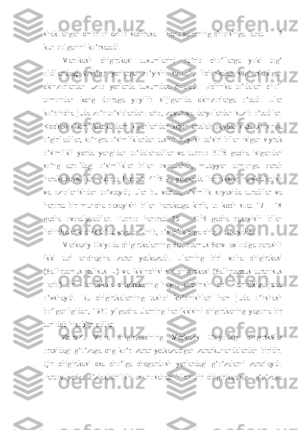 shakllangan embrion ezilib sachrasa – lichinkalarning chiqishiga faqat 1 – 3
kun qolganini ko’rsatadi.
Marokash   chigirtkasi   tuxumlarini   qo’riq   cho’llarga   yoki   tog’
oldilaridagi   toshloq   yerlarga   qo’yishi   sababli,   lichinkalar   sug’oriladigan
ekinzorlardan   uzoq   yerlarda   tuxumdan   chiqadi.   Lichinka   to’dalari   cho’l
tomondan   keng   doiraga   yoyilib   siljiganida   ekinzorlarga   o’tadi.   Ular
ko’pincha   juda   zo’r   to’siqlardan:   ariq,   zovur   va   daryolardan   suzib   o’tadilar.
Kechasi   o’simliklarda   dam   olganlaridan   keyin   ertalab   quyosh   nuri   tomonga
o’giriladilar,  so’ngra  o’simliklardan  tushib  quyosh  ta’siri  bilan  isigan  siyrak
o’simlikli   yerda   yangidan   to’dalanadilar   va   tuproq   30 0
S   gacha   isigandan
so’ng   atrofdagi   o’simliklar   bilan   ovqatlanib,   muayyan   tomonga   qarab
harakatlanadilar. Tuproq harorati 41 0
S ga yetganda lichinkalar harakatlanish
va   oziqlanishdan   to’xtaydi;   ular   bu   vaqtda   o’simlik   soyasida   turadilar   va
harorat   bir   muncha   pasayishi   bilan   harakatga   kirib,   to   kech   soat   17   –   18
gacha   ovqatlanadilar.   Tuproq   harorati   25   –   30 0
S   gacha   pasayishi   bilan
lichinkalar kichik to’dalarga bo’linib, o’simliklarga chiqib tunaydilar. 
Markaziy Osiyoda chigirtkalarning Salliptamus Serv. avlodiga qarashli
ikki   turi   anchagina   zarar   yetkazadi.   Ularning   biri   voha   chigirtkasi
(Salliptamus   italisus   L.)   va   ikkinchisi   qir   chigirtkasi   (Salliptamus   turanisus
Tarb.)   dir.   Har   ikkala   chigirtkaning   hayot   kechirishi   bir   –   birinikiga   juda
o’xshaydi.   Bu   chigirtkalarning   tashqi   ko’rinishlari   ham   juda   o’hshash
bo’lganligidan, 1930 yilgacha ularning har ikkisini chigirtkaning yagona bir
turi deb hisoblar edilar.
Zarari.   Voha   chigirtkasining   Markaziy   Osiyodagi   chigirtkalar
orasidagi   g’o’zaga   eng   ko’p   zarar   yetkazadigan   zararkunandalardan   biridir.
Qir   chigirtkasi   esa   cho’lga   chegardosh   yerlardagi   g’o’zalarni   zararlaydi.
Partov   yerlar   o’zlashtirilishi   munosabati   bilan   qir   chigirtkaning     g’o’zaga 