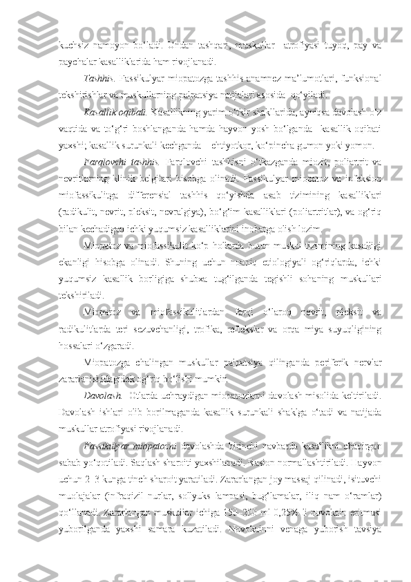 kuchsiz   namoyon   bo‘ladi.   Undan   tashqari,   muskullar     atrofiyasi   tuyoq,   pay   va
paychalar kasalliklarida ham rivojlanadi.
Tashhis.   Fassikulyar   miopatozga   tashhis   anamnez   ma’lumotlari,  funksional
tekshirishlar va muskullarning palpatsiya natijalari asosida  qo‘yiladi. 
Kasallik oqibati.  Kasallikning yarim o‘tkir shakllarida, ayniqsa davolash o‘z
vaqtida   va   to‘g‘ri   boshlanganda   hamda   hayvon   yosh   bo‘lganda   –kasallik   oqibati
yaxshi; kasallik surunkali kechganda – ehtiyotkor, ko‘pincha gumon yoki yomon. 
Farqlovchi   tashhis.   Farqlovchi   tashhisni   o‘tkazganda   miozit,   poliartrit   va
nevritlarning   klinik   belgilari   hisobga   olinadi.   Fassikulyar   miopatoz   va   infeksion
miofassikulitga   differensial   tashhis   qo‘yishda   asab   tizimining   kasalliklari
(radikulit, nevrit, pleksit, nevralgiya), bo‘g‘im kasalliklari (poliartritlar), va og‘riq
bilan kechadigan ichki yuqumsiz kasalliklarini inobatga olish lozim.
Miopatoz   va   miofassikulit   ko‘p   hollarda   butun   muskul   tizimining   kasalligi
ekanligi   hisobga   olinadi.   Shuning   uchun   noaniq   etiologiyali   og‘riqlarda,   ichki
yuqumsiz   kasallik   borligiga   shubxa   tug‘ilganda   tegishli   sohaning   muskullari
tekshiriladi.
Miopatoz   va   miofassikulitlardan   farqi   o‘laroq   nevrit,   pleksit   va
radikulitlarda   teri   sezuvchanligi,   trofika,   reflekslar   va   orqa   miya   suyuqligining
hossalari o‘zgaradi.
Miopatozga   chalingan   muskullar   palpatsiya   qilinganda   periferik   nervlar
zararlanishidagidek og‘riq bo‘lishi mumkin 
Davolash.     Otlarda uchraydigan miopatozlarni davolash misolida keltiriladi.
Davolash   ishlari   olib   borilmaganda   kasallik   surunkali   shaklga   o‘tadi   va   natijada
muskullar atrofiyasi rivojlanadi.
Fassikulyar   miopatozni   davolashda   birinchi   navbatda   kasallikni   chaqirgan
sabab yo‘qotiladi. Saqlash sharoiti yaxshilanadi. Rasion normallashtiriladi. Hayvon
uchun 2–3 kunga tinch sharoit yaratiladi. Zararlangan joy massaj qilinadi, isituvchi
muolajalar   (infraqizil   nurlar,   sollyuks   lampasi,   bug‘lamalar,   iliq   nam   o‘ramlar)
qo‘llanadi.  Zararlangan  muskullar  ichiga  150–200 ml   0,25%   li  novokain  eritmasi
yuborilganda   yaxshi   samara   kuzatiladi.   Novokainni   venaga   yuborish   tavsiya 