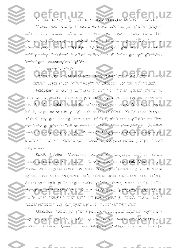 1.  Travmatik, yiringli, revmatik, fibrozli  va  suyaklashuvchi miozit lar
Muskul   kasalliklariga   shikastlar   va   sovuq   ta’sirida,   yallig’lanish   jarayoni
qo’shni   to’qimalardan   o’tganda,   infeksion   va   invazion   kasalliklarda   (sil,
aktinomikoz)   rivojlanayotgan   miozit   kasalligi   (muskullar   yallig’lanishi)   hamda
otlarni   tashish,   uzoq   vaqt   fiksasiya   qilish,   mosion   yo’qligida   muskullar   qisqarish
qobiliyatining   funksional   buzilishi   natijasida   hosil   bo’ladigan   yallig’lanishsiz
kechadigan –  miopatoz  kasalligi kiradi. 
1.1.   Travmatik miozit  
Travmatik miozit   (Myositis  traumatica)   hayvonlarda muskullarning  II–    va
III – darajali lat yeyish, cho’zilishi va yirtilishlarida tez – tez hosil bo’lib turadi.
Patogenez.   Shikst   joyida   muskul   tolalari   bir   –   biridan   ajraladi,   qisman   va
to’liq   uziladi,   muskul   to’qimasiga   yoki   perimiziy   ostiga   qon   quyiladi,   gematoma
hosil   bo’lishi   mumkin.   Shikastdan   so’ng   muskulning   travmatik   shishishi   paydo
bo’lib,   unga   tez   vaqtda   yallig’lanish   shishi   qo’shiladi.   Yallig’lanish   jarayoni
ta’sirida   quyilgan   qonning     kam   qismi   so’riladi;   yirik   qon   quyilishlar   proliferat
rivojlanishiga   sabab   bo’ladi   va   chandiqli   to’qima   bilan   almashiniladi.   Chandiqli
tortishish natijasida mushak qisqarib, tegishli bo’g’imning miogen kontrakturasini
chaqirishi   mumkin.   Zararlangan   muskul   infeksiyalashganda   yiringli   miozit
rivojlanadi.
Klinik   belgilar.   Muskulning   zararlanish   darajasiga   bog’liq.   Barcha
holatlarda   shikastdan   so’ng   davomli   funksiya   buzilishi   kuzatiladi.   Masalan,   oyoq
muskuli zararlanganda oqsash rivojlanadi. Mahalliy to’qimalarning turli kattalikda
og’riqli,   issiq   shishi   rivojlanadi,   ko’p   hollarda   terida   sidirilishlar   hosil   bo’ladi.
Zararlangan   joyda   yallig’langan   muskul   yo’g’onlashgan,   tarang,   og’riqli   bo’lib,
qisman   va   to’liq   uzilishlarda   chuqur   flyuktuasiya   (gematoma)   qayd   etiladi.
Yallig’lanish   pasayishi   bilan   aytib   o’tilgan   belgilar   yo’qoladi,   muskul   kuchli
zararlanganda qon quyilgan joylarda g’adir – budirliklar rivojlanadi.
Davolash.   Dastlab   yallig’lanishga   qarshi   muolajalar   bajariladi   keyinchalik
quyilgan   qonning   so’rilishini   ta’minlaydigan   va   proliferatlar   rivojlanishini   oldini
oluvchi   vositalar   (parafinli   applikasiyalar,   massaj,   to’qimali   terapiya, 