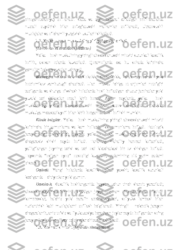 pirogenoterapiya)   qo’llanadi.   Katta   va   qiyin   bartaraf   etiladigan   proliferatlarda
nuqtali   quydirish   bilan   qo’zg’atuvchi   malhamlar   qo’llanadi,   ultratovushli
muolajalar va o’lchamli yurgizish usullari ishlatiladi. 
1.2.  Yelka – bosh muskulining yiringli yallig‘lanishi
(Abscessus m.brachiocephalicus)
Yelka – bosh muskulining yiringli abssesslanuvchi mioziti surunkali kasallik
bo‘lib,   asosan   otlarda   kuzatiladi.   Qoramollarda   esa   bu   sohada   ko‘pincha
gemolimfoekstravazatlar uchraydi. 
Etiologiya.   Kasallikni   stafilokokk,   streptokokk,   ichak   tayoqchasi   yoki
botriomikoz   zamburug‘i   chaqiradi.   Ular     muskul   ichiga   ot   anjomlari   noto‘g‘ri
taqilganda   va   shunga   o‘xshash   holatlarda   hosil   bo‘ladigan   chuqur   jarohatlar   yoki
yuzaki   teri   shikastlar   orqali   kirib   boradi.   Ayrim   paytlarda,   yelka   –   bosh
muskulining   yiringli   abssesslanuvchi   mioziti,   saqov   kasalligida   mikroblar
muskulga metastatik yo‘l bilan kirib borganida hosil bo‘lishi mumkin.
Klinik   belgilar .   Yelka   –   bosh   muskulining   yiringli   abssesslanuvchi   mioziti
ko‘pincha   bir   tomonlama   va   kam   hollarda   ikki   tomonlama   bo‘ladi.   Patologik
jarayonning   boshlang‘ich   davrida   yelka   –   bosh   muskulining   zich,   og‘riqli,
chegarasiz   shishi   paydo   bo‘ladi.   Tananing   mahalliy   harorati   ko‘tariladi,
yallig‘langan   joyning   terisi   va   teri   osti   kletchatkasi   bir   oz   shishgan   bo‘ladi.
Hayvonda   “osilgan   oyoq”   oqsoqligi   kuzatilib,   qadamining   old   yarim   qadami
qisqaradi.
Oqibati.   Yangi   holatlarda   kasallik   oqibati   yaxshi;   kasallik   surunkali
kechganda – ehtiyotkor yoki gumon.
Davolash.   Kasallik   boshlanganida   hayvon   uchun   tinch   sharoit   yaratiladi;
abssess   rivojlanishi   tahmin   qilinadigan   joyga   iliq   nam   o‘ramlar,   spirt   –   ixtiolli
kompresslar,   balchiq   yoki   parafin   applikatsiyalari,   sollyuks   lampasi   bilan
nurlantirish   kabi   muolajalarni   qo‘llash   belgilanadi.   Yiringli   –   nekrotik   jarayon
chegaralanib, aniq to‘siq va flyuktuatsiya beradigan joylar paydo bo‘lgandan so‘ng
jarayon kesiladi va o‘lgan to‘qimalar chiqarib tashlanadi.
1.3.  Revmatik miozit   (Myositis rheumatica) 