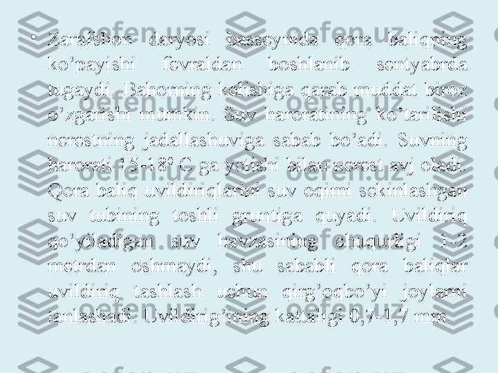 •
Zarafshon  daryosi  basseynida  qora  baliqning 
ko’payishi  fevraldan  boshlanib  sentyabrda 
tugaydi.  Bahorning  kelishiga  qarab  muddat  biroz 
o’zgarishi  mumkin.  Suv  haroratining  ko’tarilishi 
nerestning  jadallashuviga  sabab  bo’adi.  Suvning 
harorati 15-18 0
 C ga yetishi bilan nerest avj oladi. 
Qora  baliq  uvildiriqlarini  suv  oqimi  sekinlashgan 
suv  tubining  toshli  gruntiga  quyadi.  Uvildiriq 
qo’yiladigan  suv  havzasining  chuqurligi  1-2 
metrdan  oshmaydi,  shu  sababli  qora  baliqlar 
uvildiriq  tashlash  uchun  qirg’oqbo’yi  joylarni 
tanlashadi. Uvildirig’ining kattaligi  0,7-1,7 mm . 