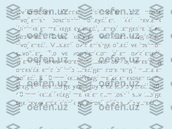 •
Uvildiriqdan  chiqqan  lichinkalar  bir  necha 
rivojlanish  bosqichini  o’taydilar.  Ikki  havtalik 
lichinkalar  malkaga  aylanadi,  tanasi  tangacha  bilan 
qoplanadi.  Orqa,  ko’krak  va  dum  suzgichlari 
rivojlanadi. Mustaqil oziqlanishga o’tadi va ipsimon 
suvo’tlar,  fito  va  zooplankton  bilan  oziqlanadi. 
Ularning  tanasi  qoramtir  tusda  bo’lib,  tanasining 
orqasida  aniq  bilinib  turadigan  qora  rangli  nuqtalar 
bo’ladi. 8-10 mm kattalikdagi malkalar asosan qum-
shag’alli suv tubiga yaqin joylarda suzib yuradi. 20-
40  mm  kattalikdagi  malkalar  qum-toshli  suv  tubiga 
ega havzalarda kichik gala hosil qilib suzib yuradi. 