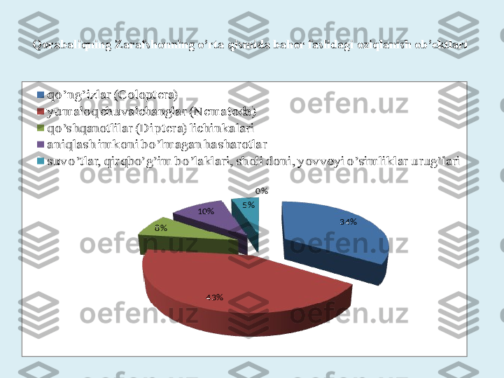 Qorabaliqning Zarafshonning o’rta qismida bahor faslidagi oziqlanish ob’ektlari 34%	
43%	
8%	
10%	5%	
0%	
qo’ng’izlar (Coloptera) 
yumaloq chuvalchanglar (Nematoda)  
qo’s hqanotlilar (Dip tera) lichinkalari 
aniqlash imkoni bo’lmagan hasharotlar 
suvo’tlar, qirqbo’g’im bo’laklari, sholi doni, yovvoyi o’simliklar urug’lari 